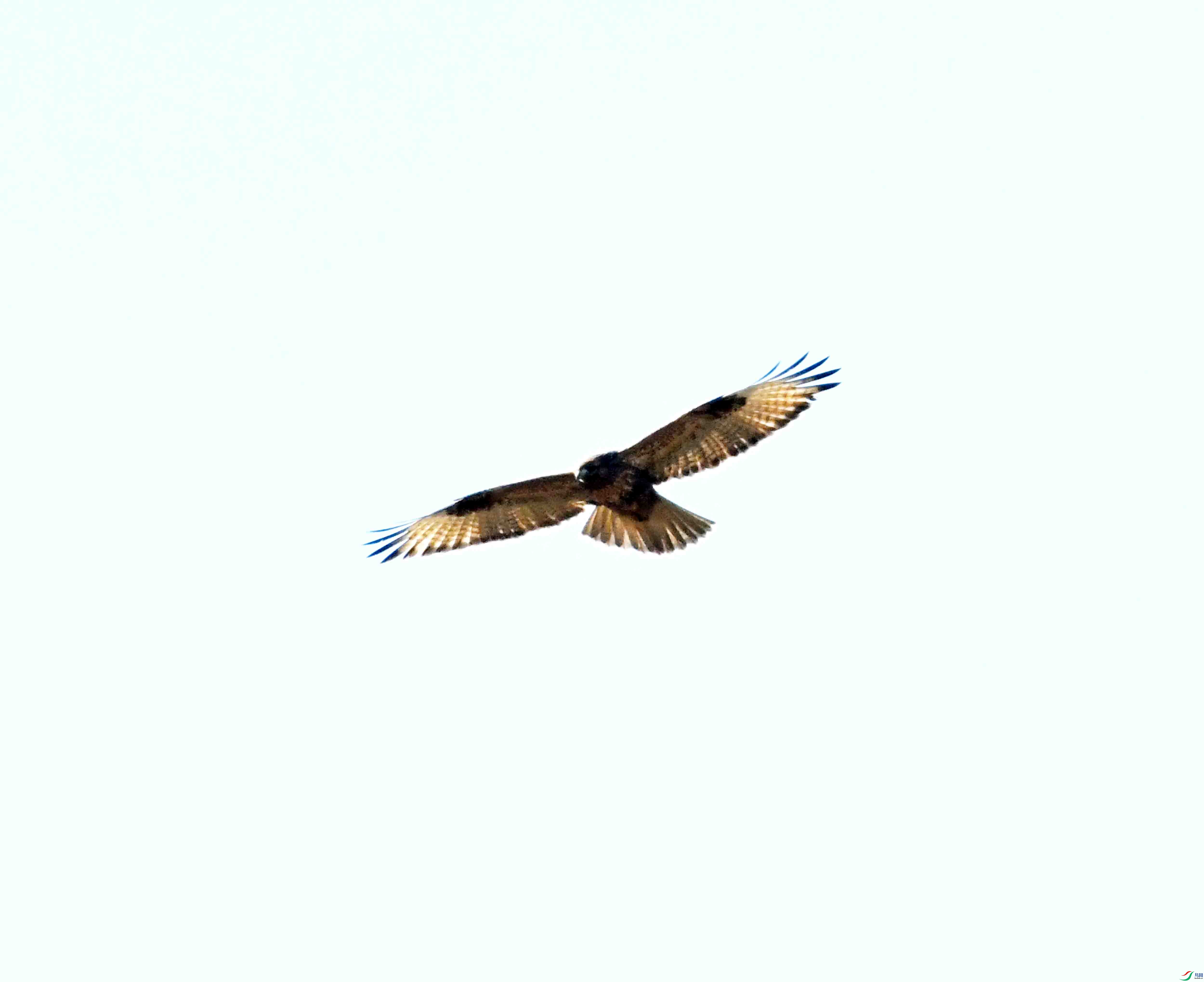 DSC_0139.JPG