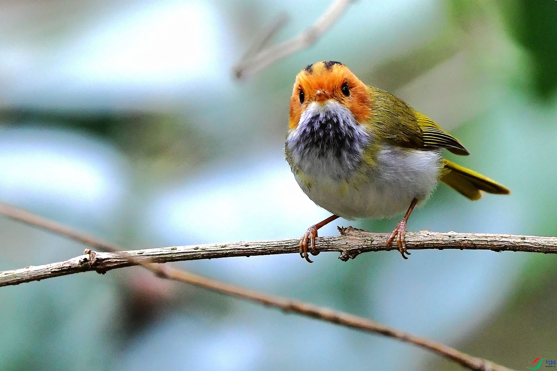 DSC_7794_����.jpg