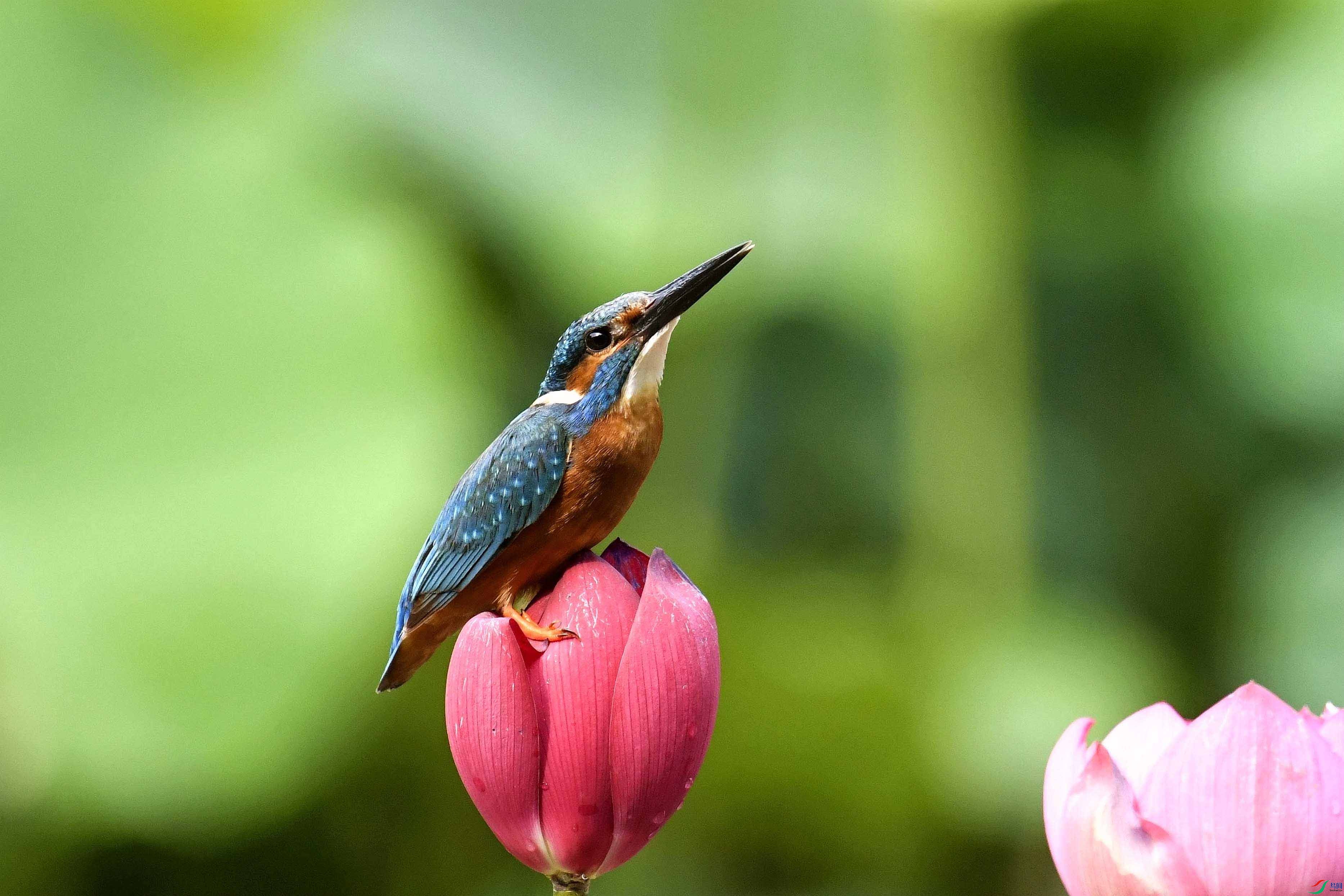 _DSC4851_����.jpg