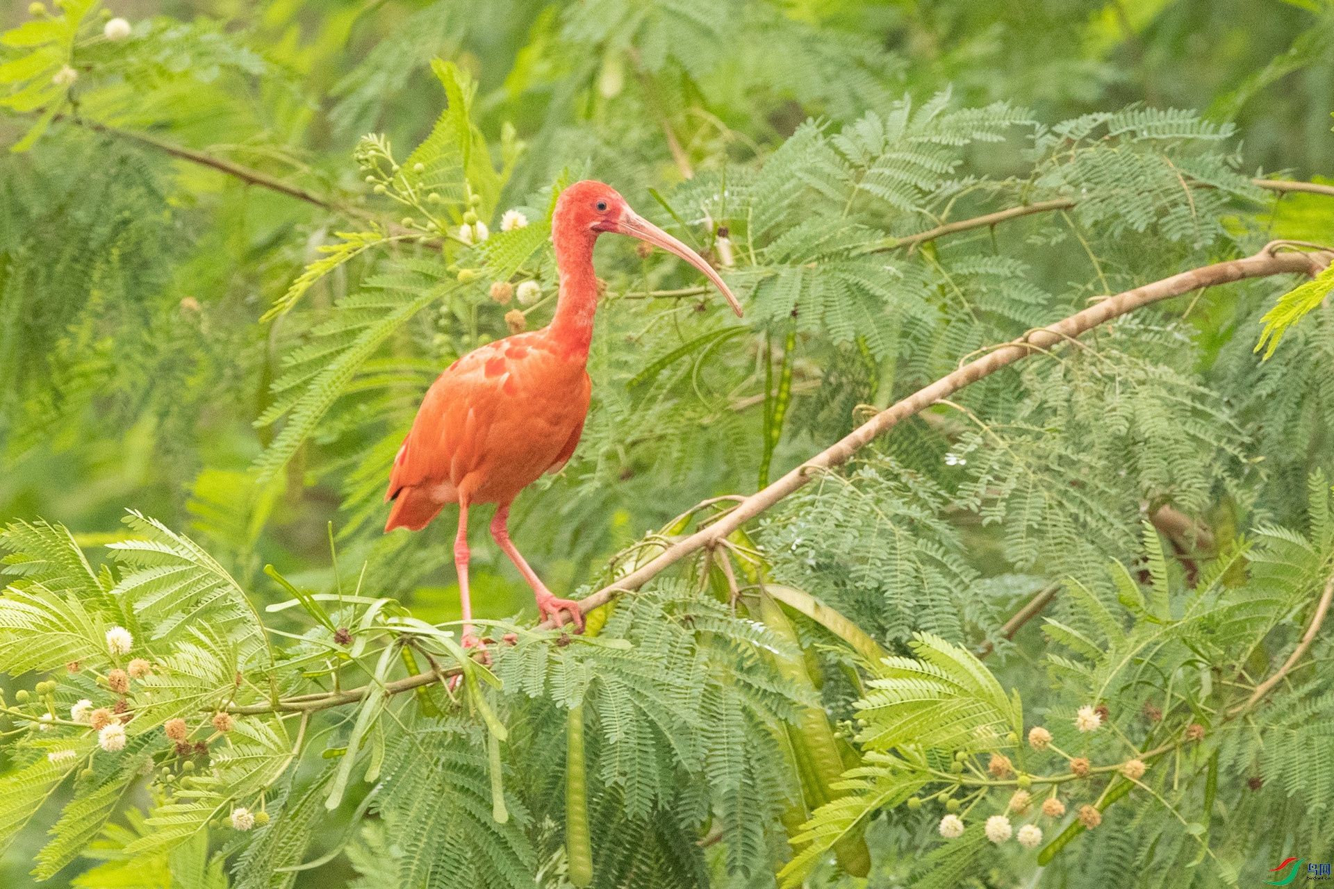 B86I1936 _����.jpg