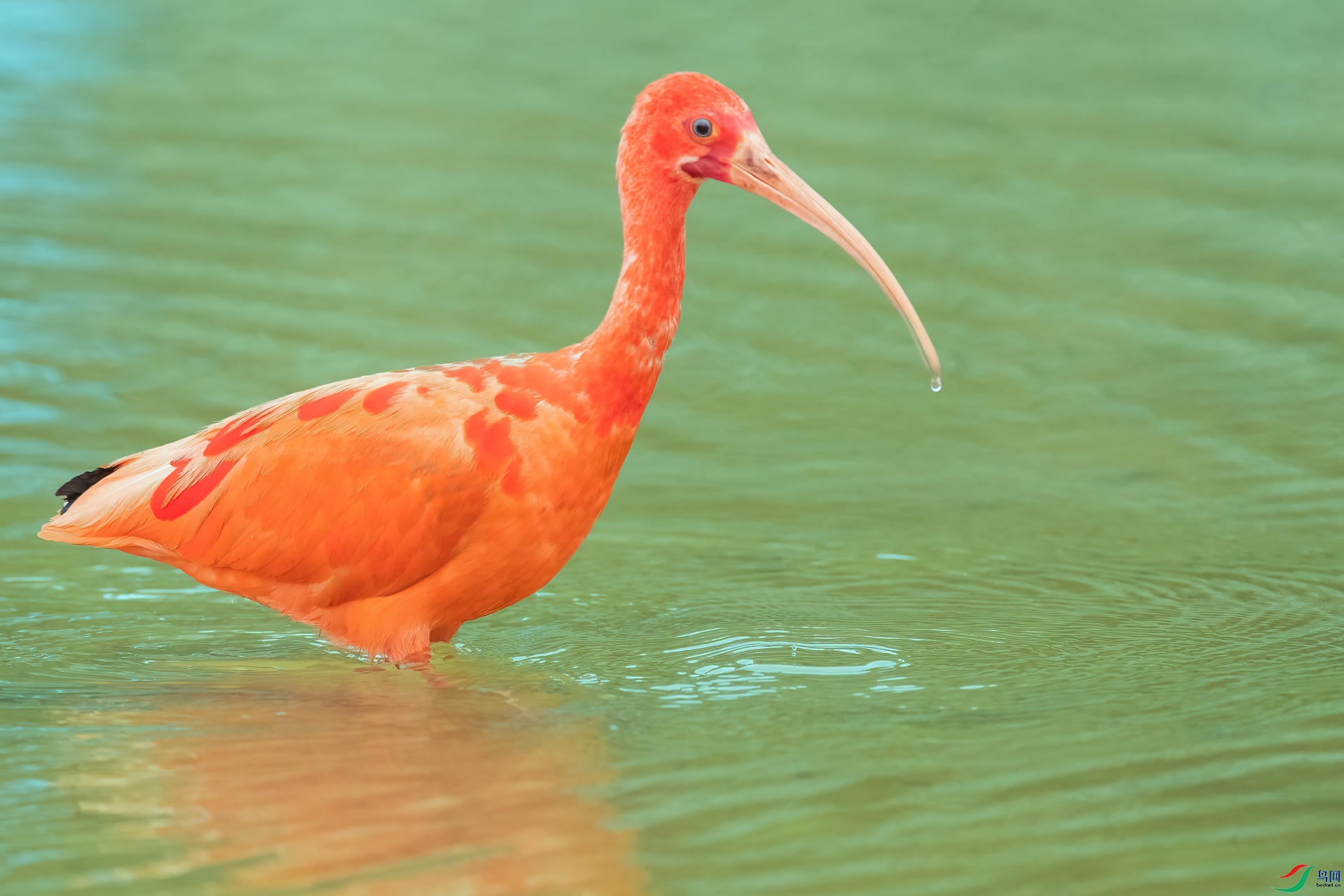 B86I1775 _����.jpg