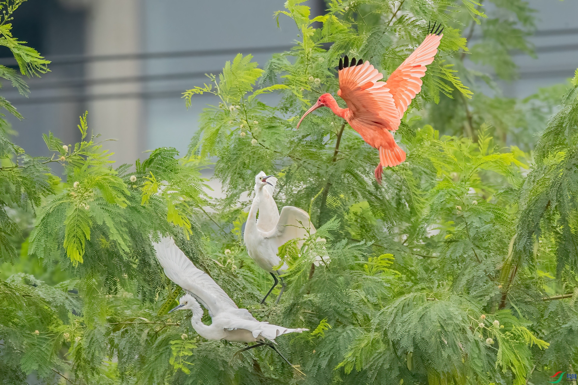 B86I0320 _����.jpg