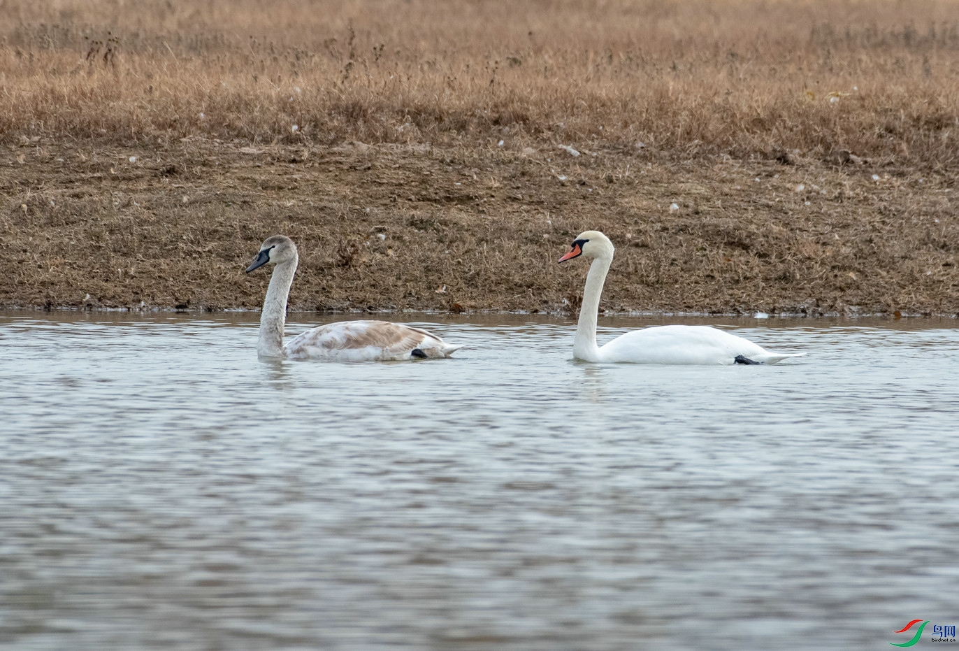 DSC_9766.jpg