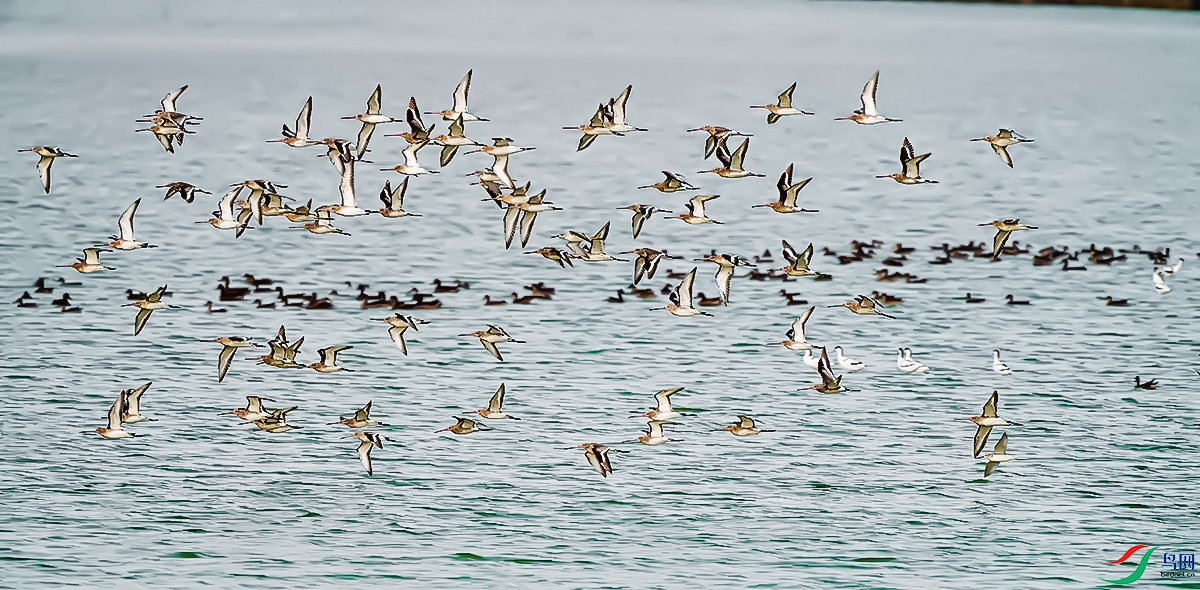 DSC07671��β���� .jpg