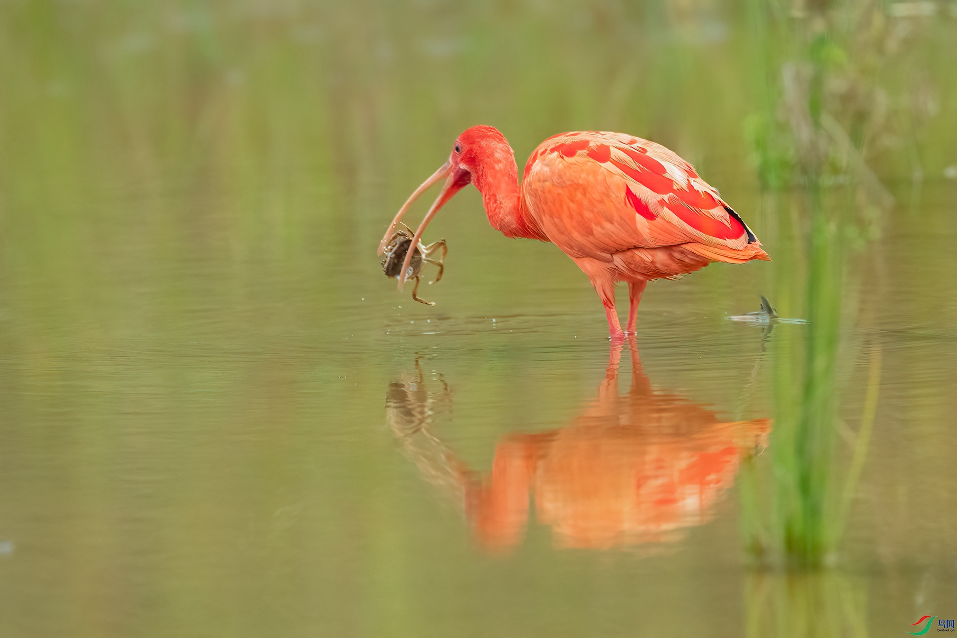 B86I1426 _����.jpg