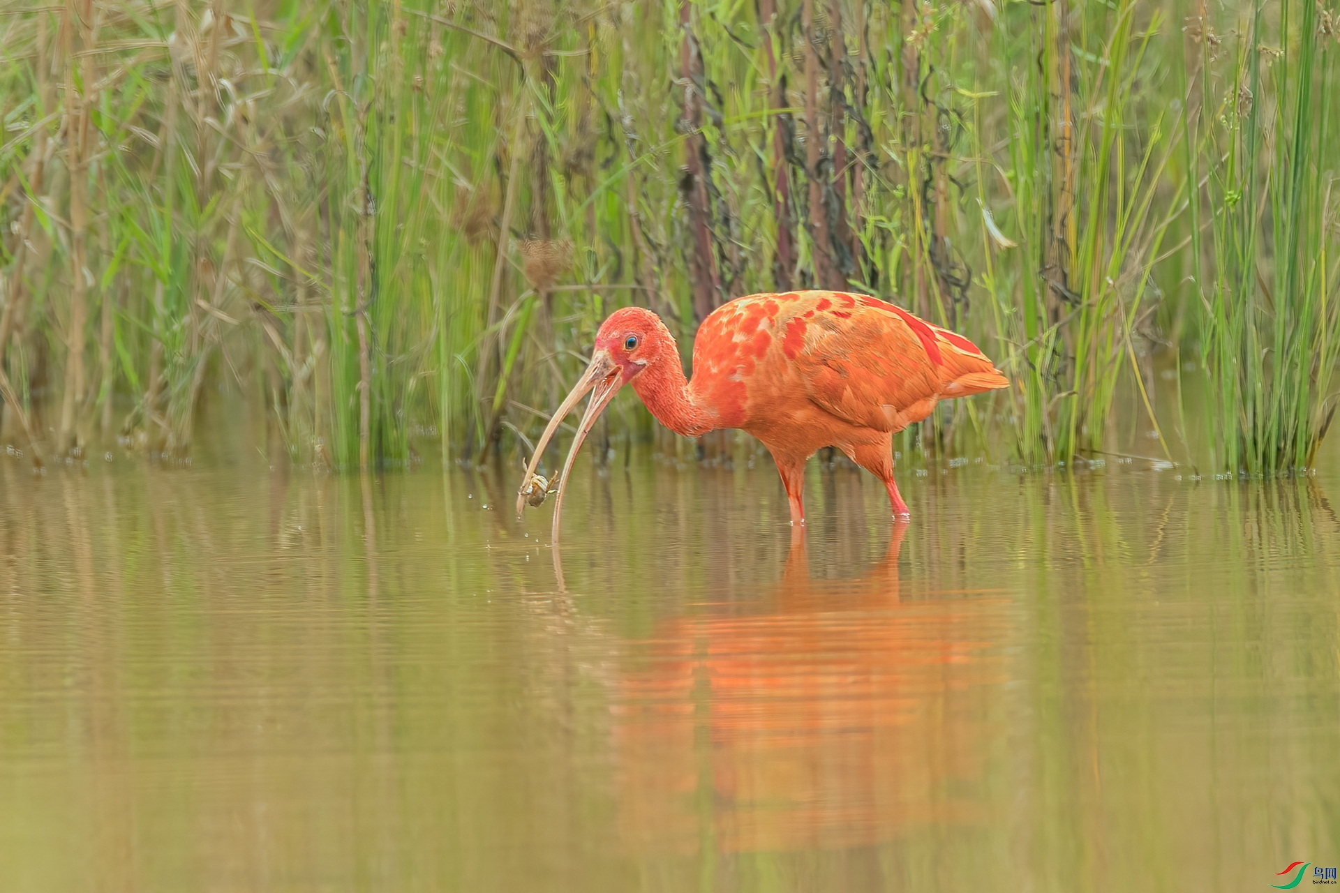 B86I9652 _����.jpg