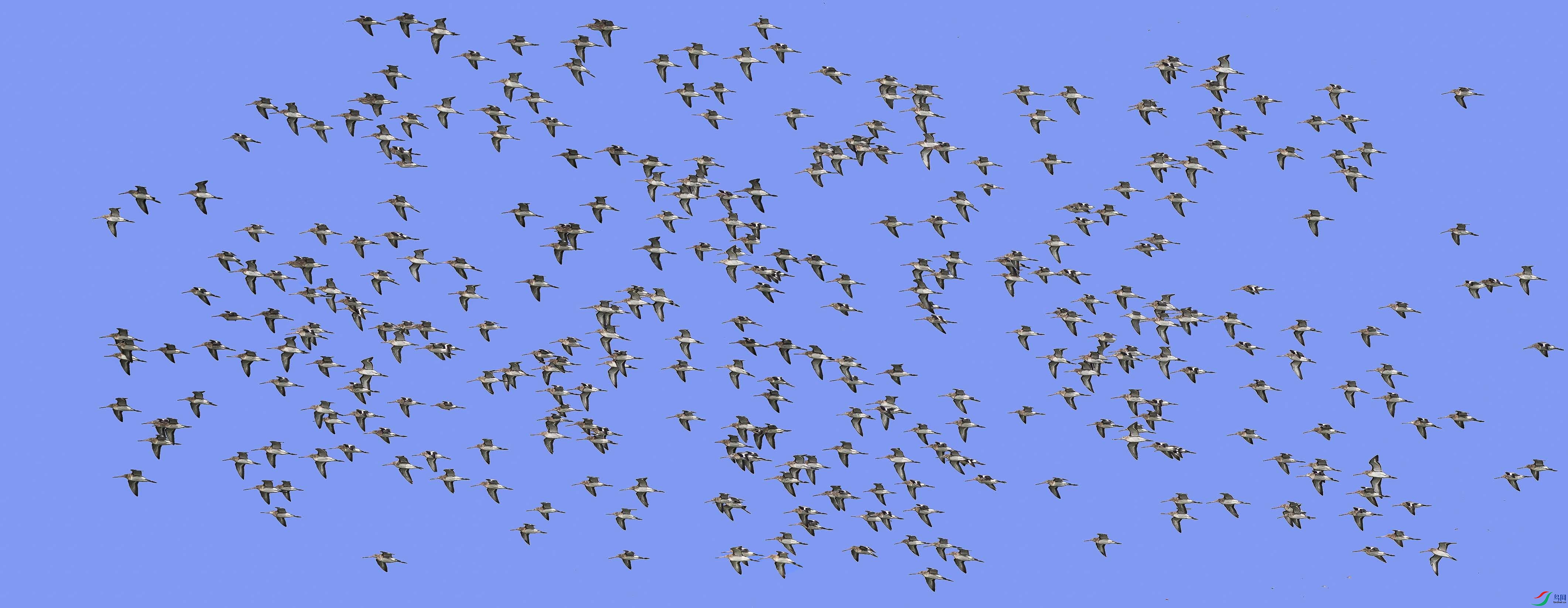 ��β����- ����.jpg