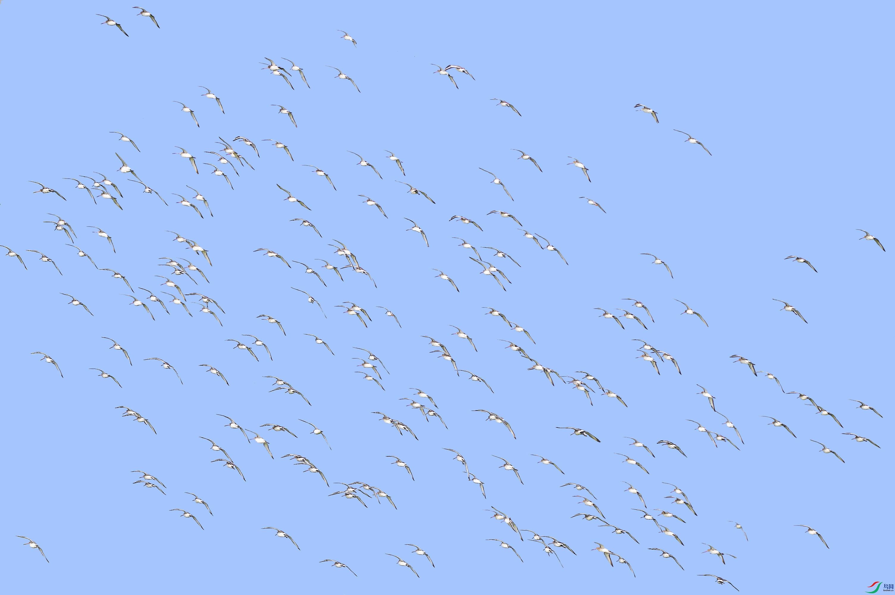 ��β���� (2).jpg