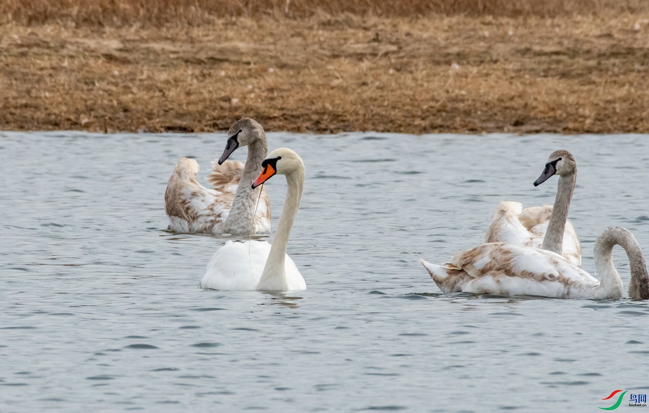 DSC_9866.jpg