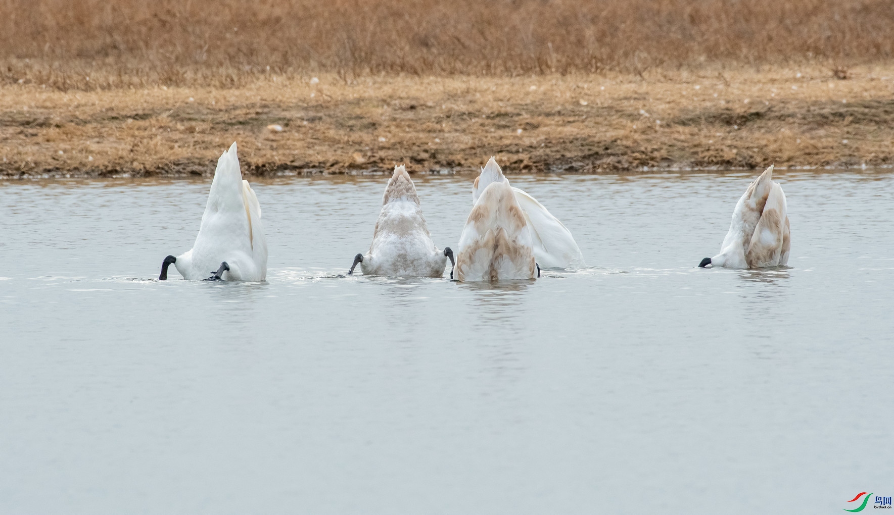 DSC_9961.jpg