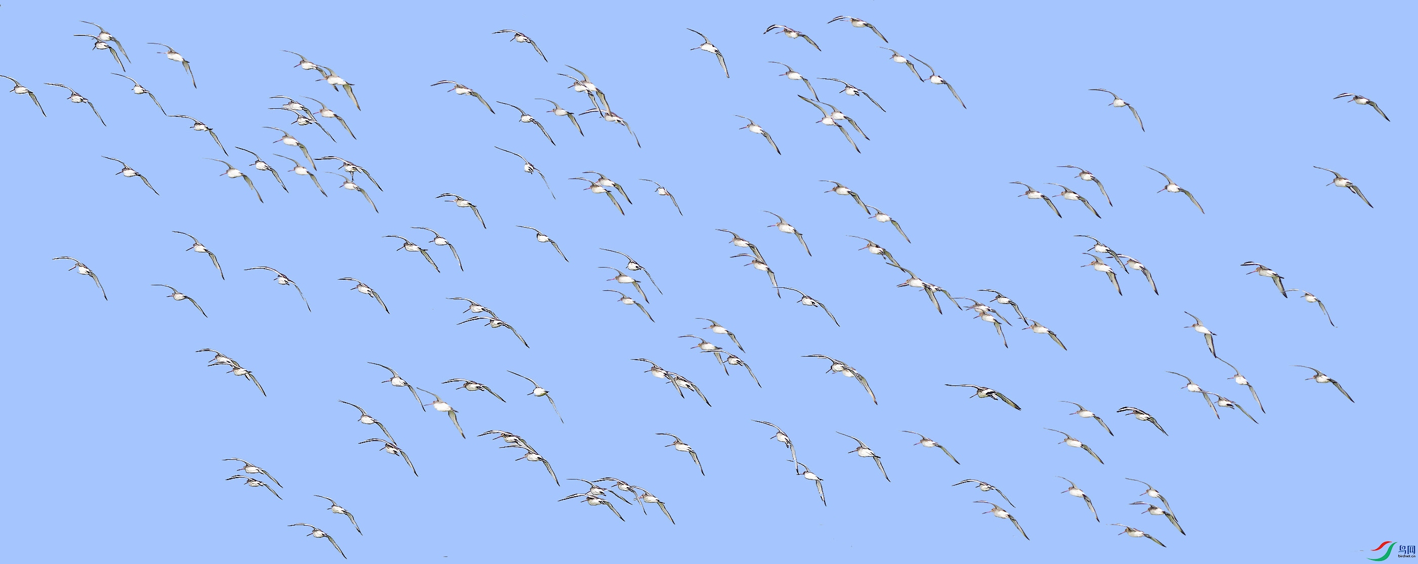 ��β���� (2) ����.jpg