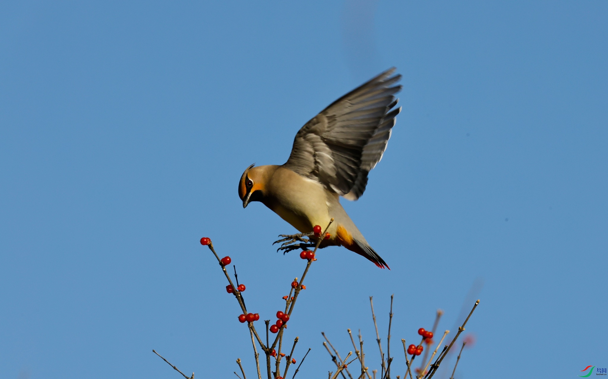 _X5A1541 - ����.JPG