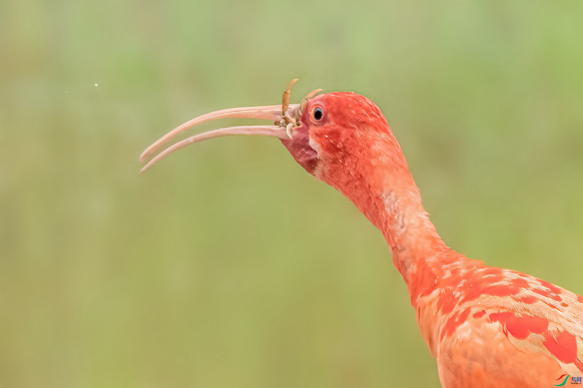 B86I1515 _����.jpg