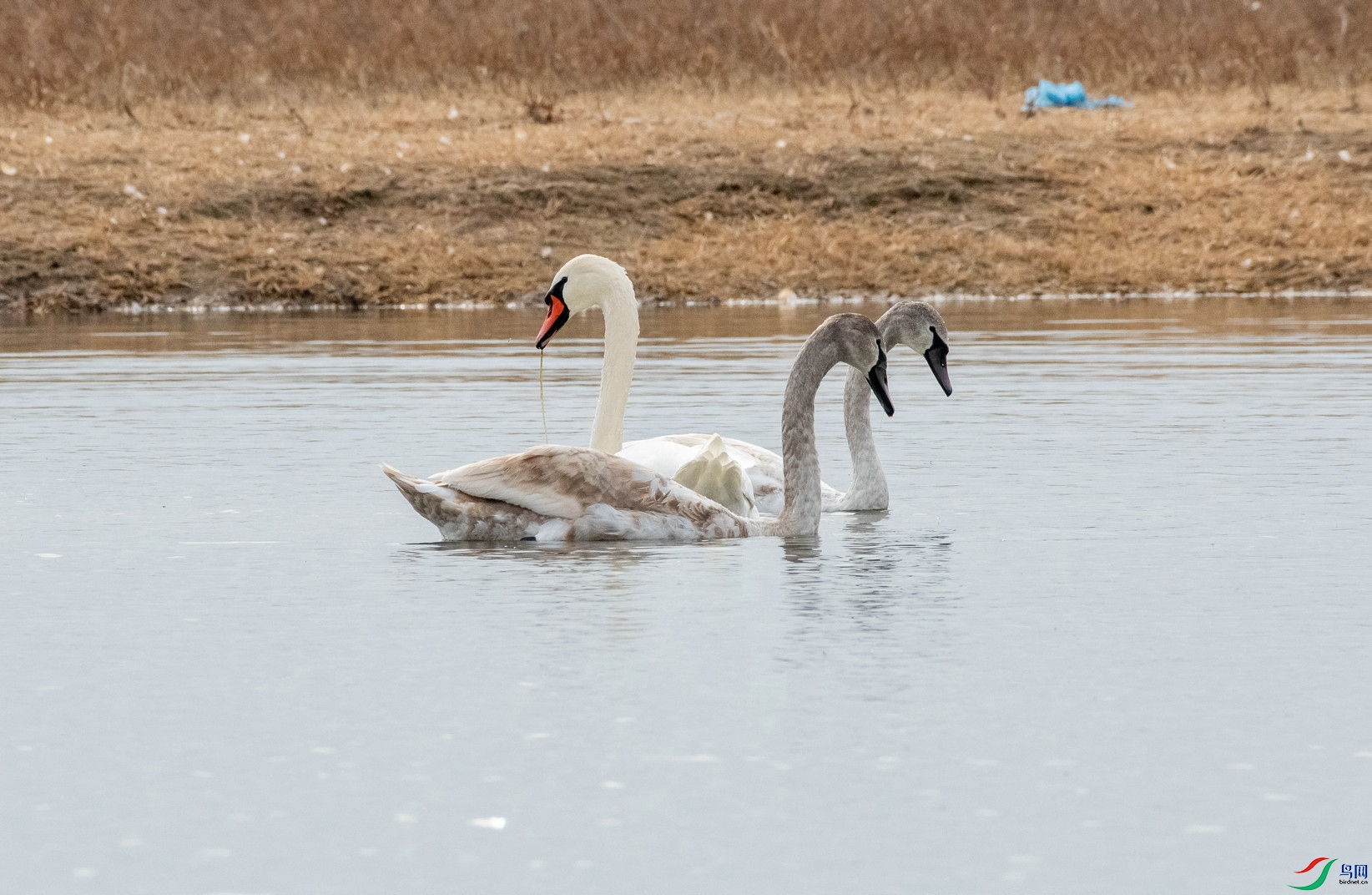 DSC_9984.jpg
