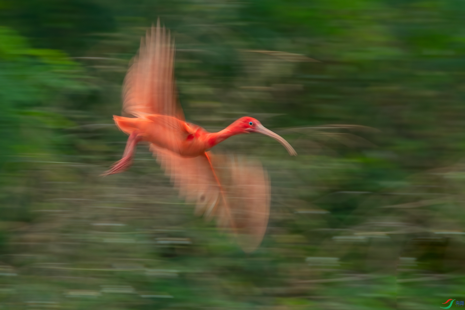 B86I0199 _����.jpg