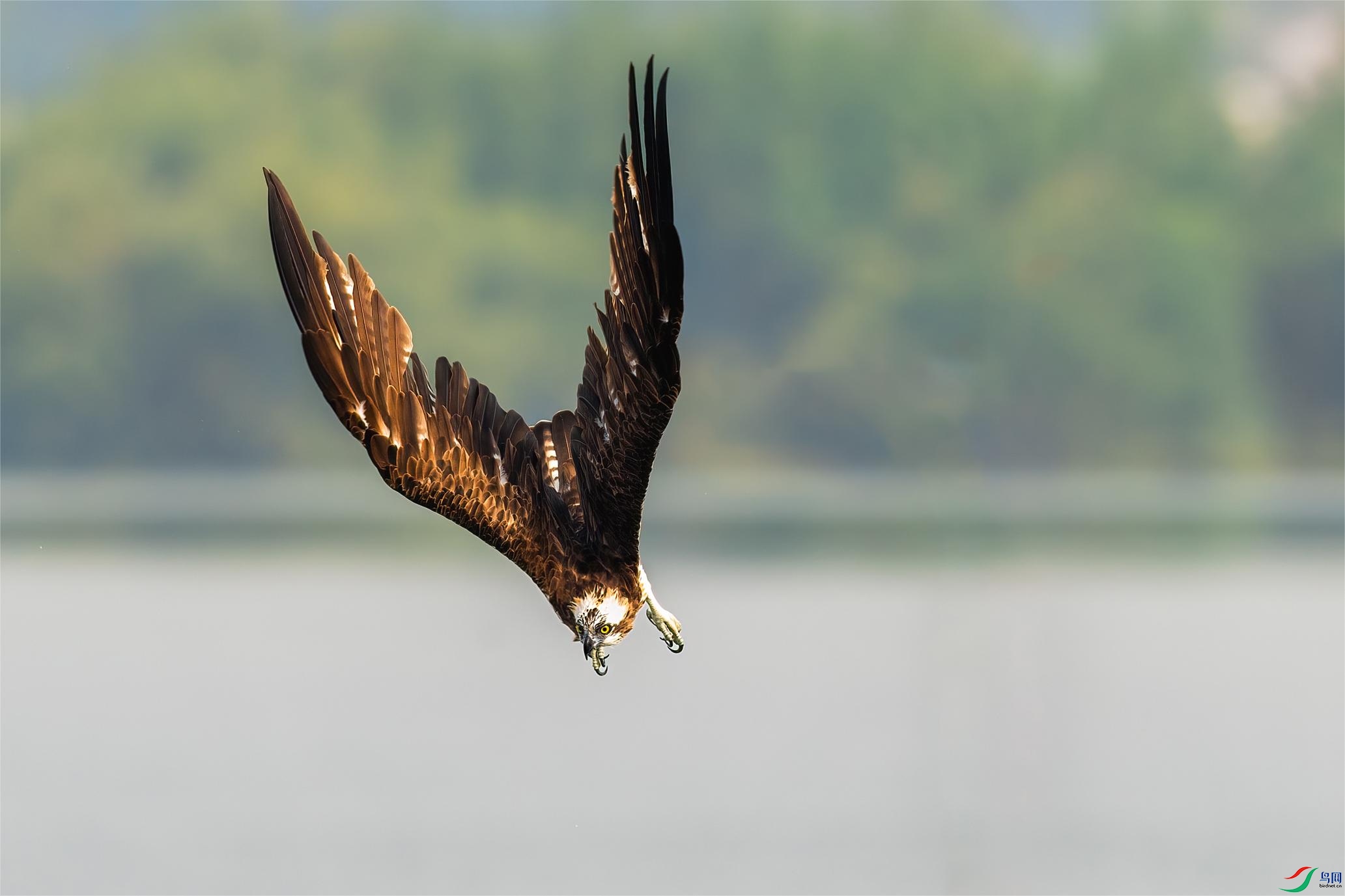 DSC_6038.jpg