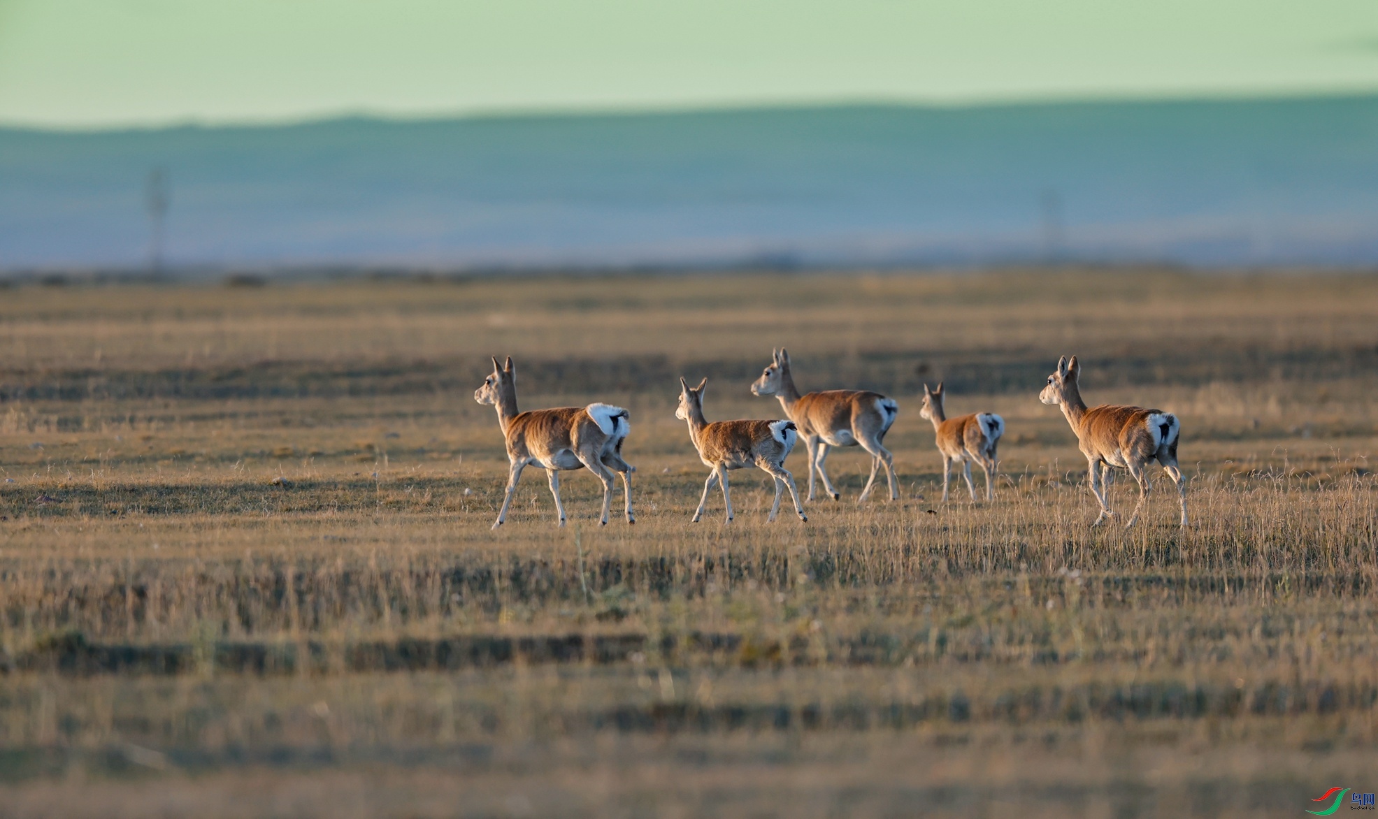 _X5A1844 - ����.JPG