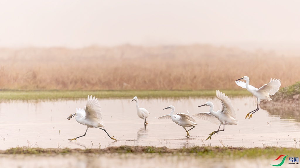 hnxyR221108 (998)_DxO.jpg