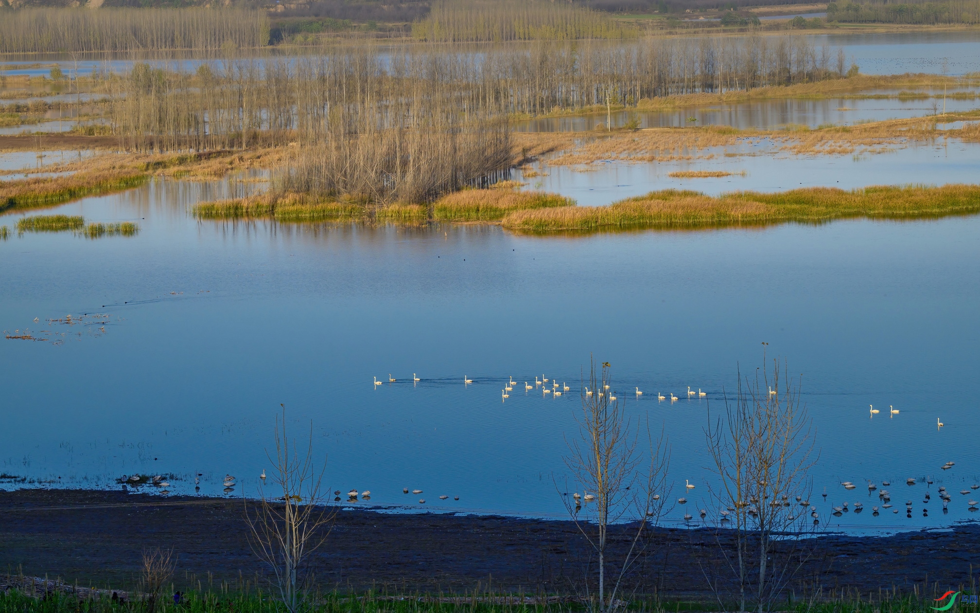 DSC_3026 ����F01.jpg