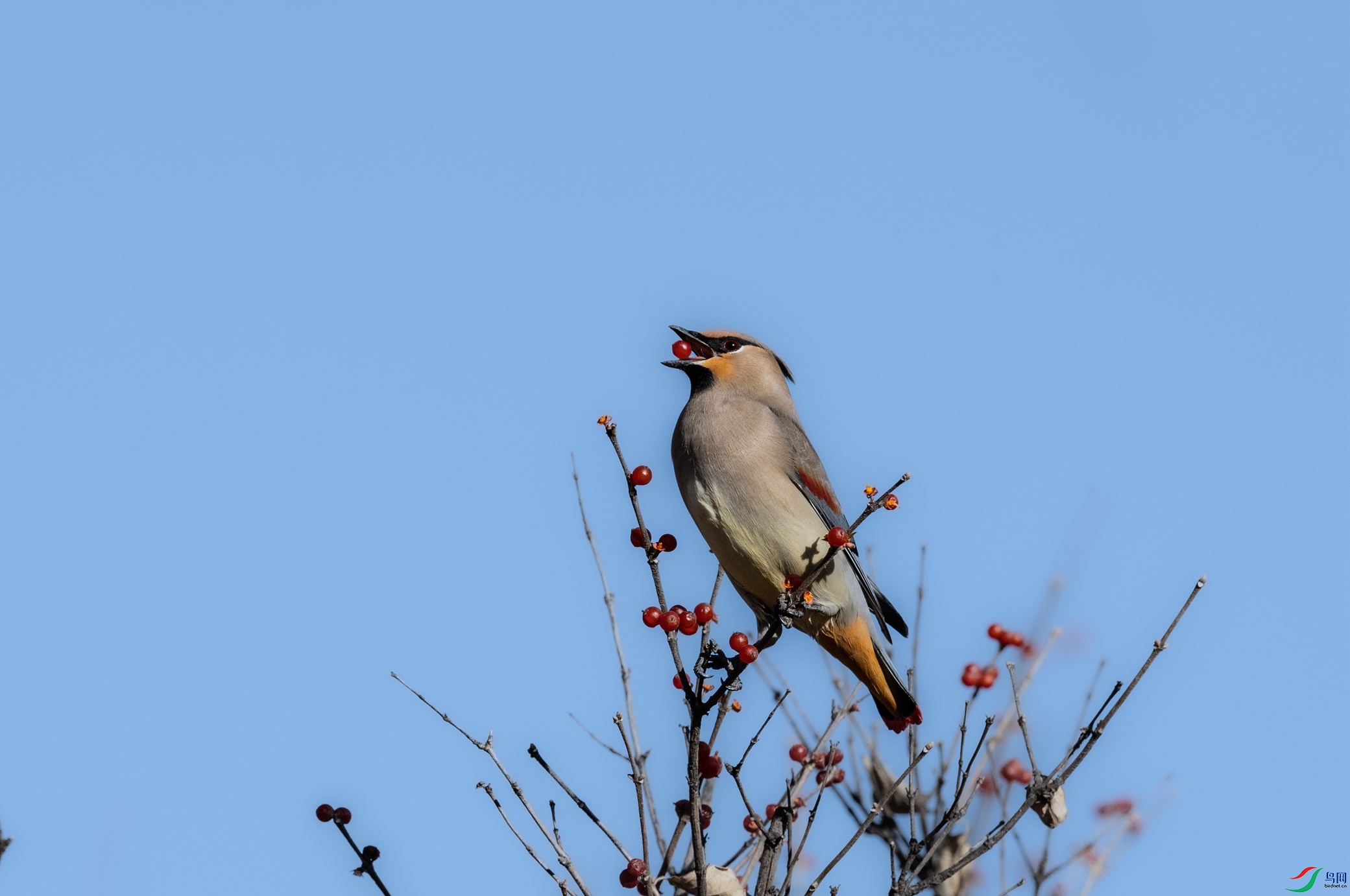 _X5A1553 - ����.jpg