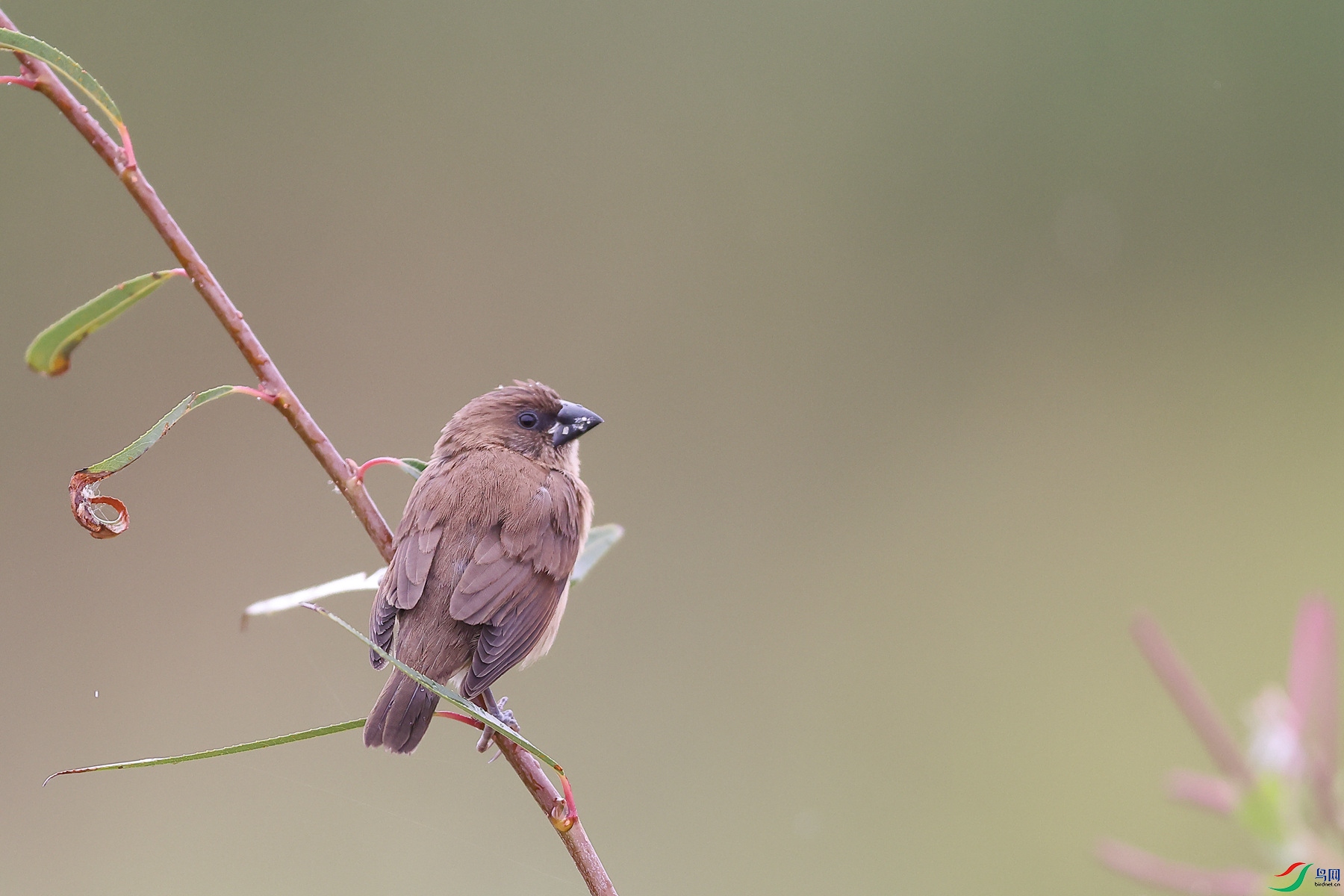 1M6A4297 ����_����.jpg