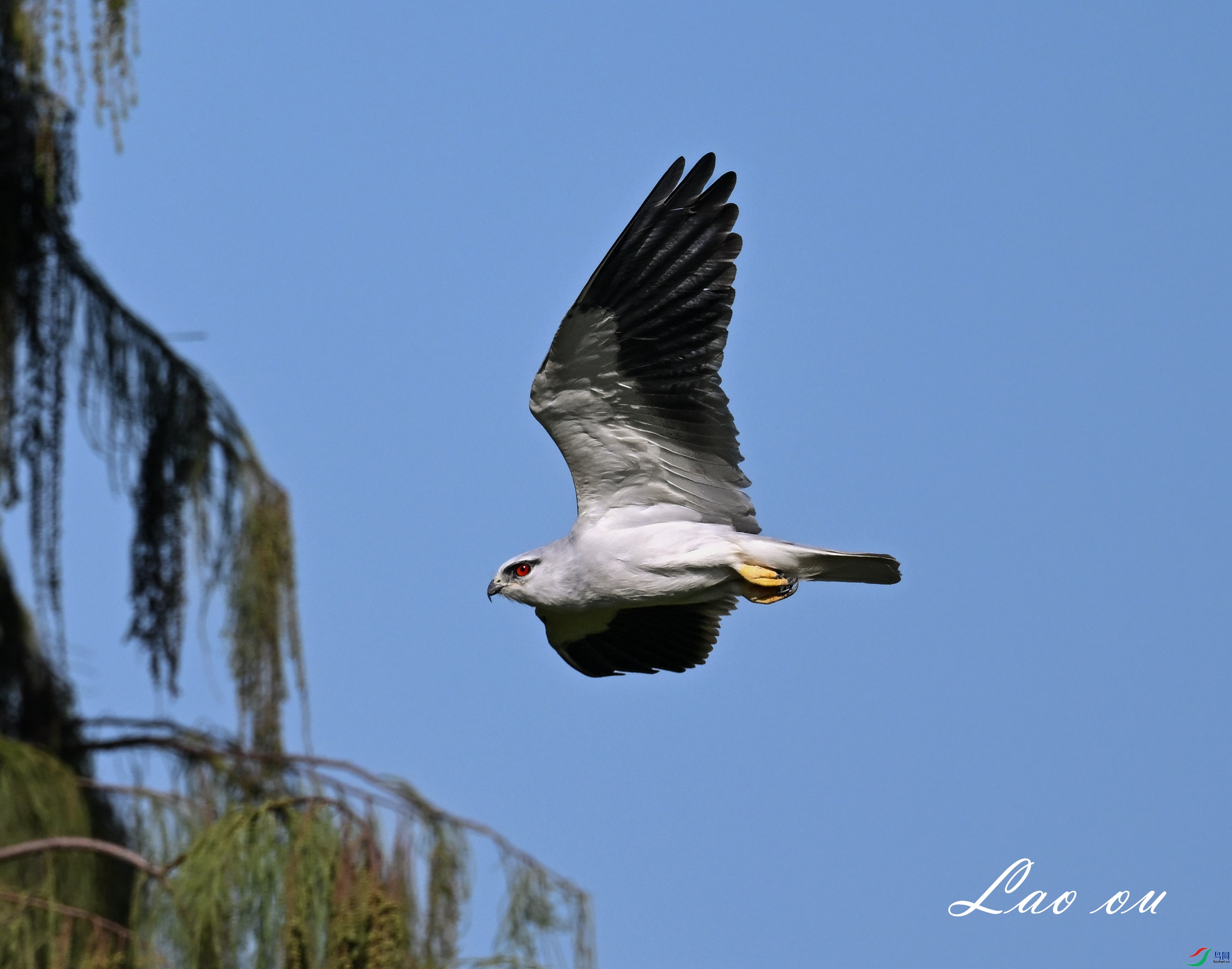 DSC_7185_����1.jpg
