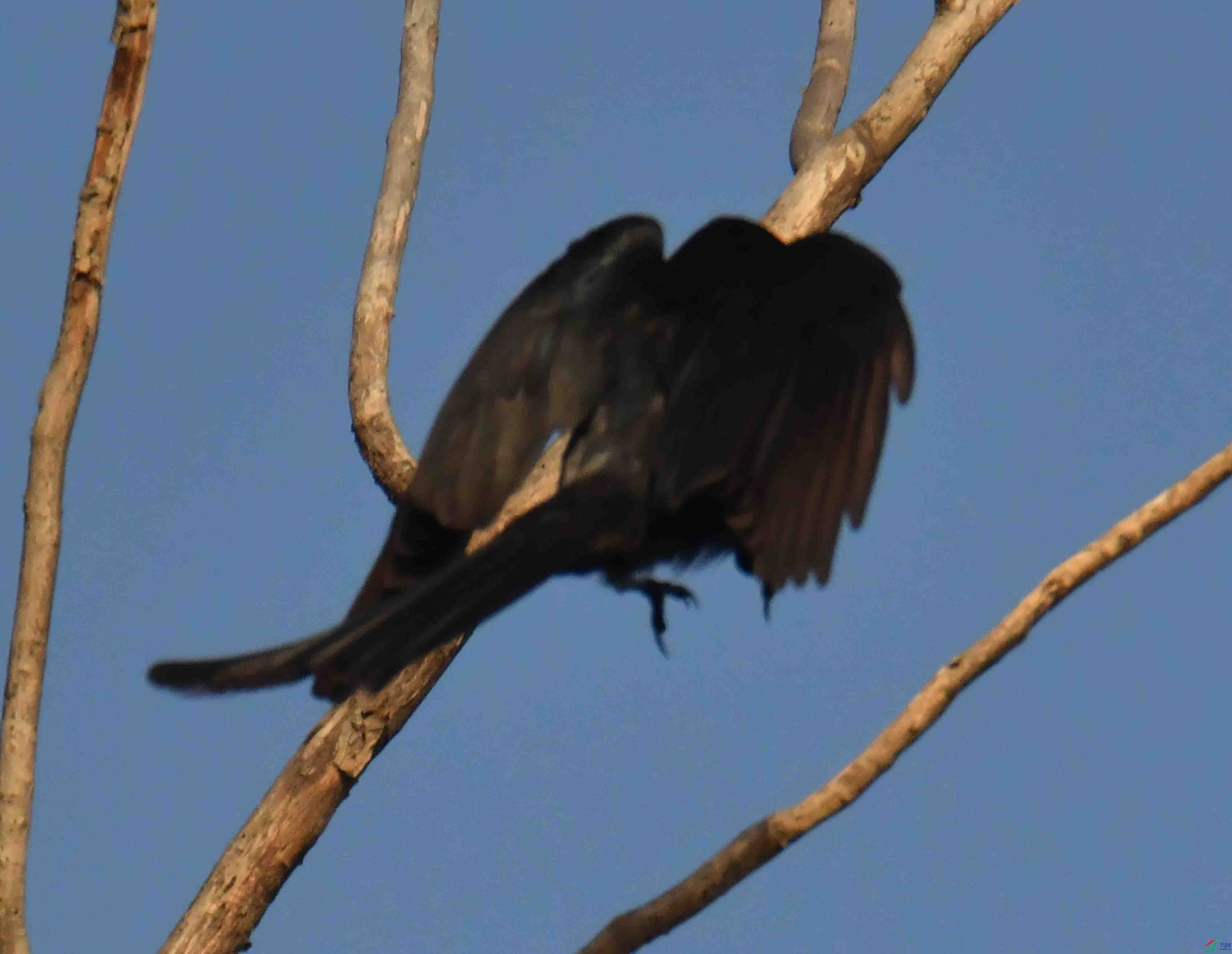 DSC_9871.JPG