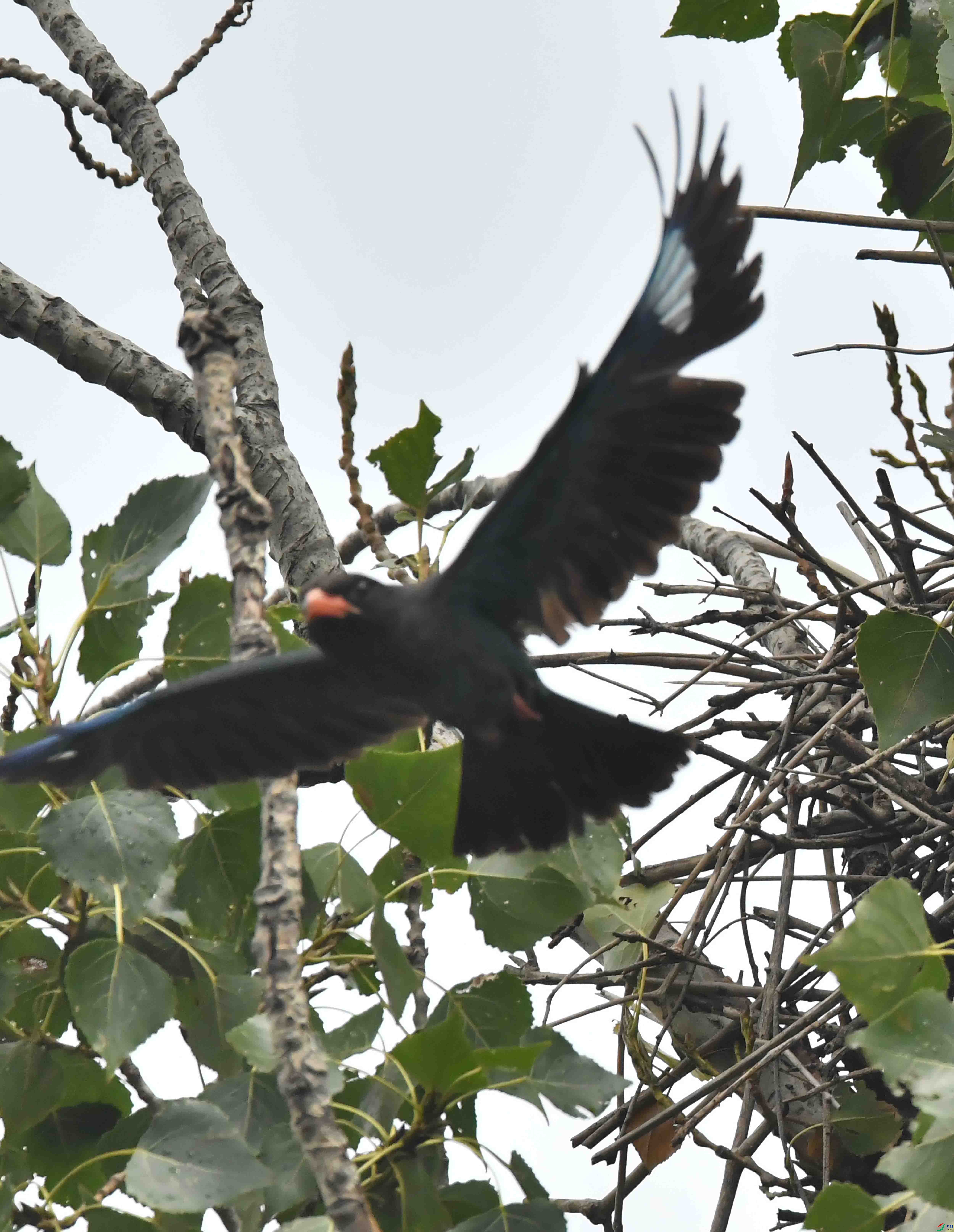 DSC_2884.JPG