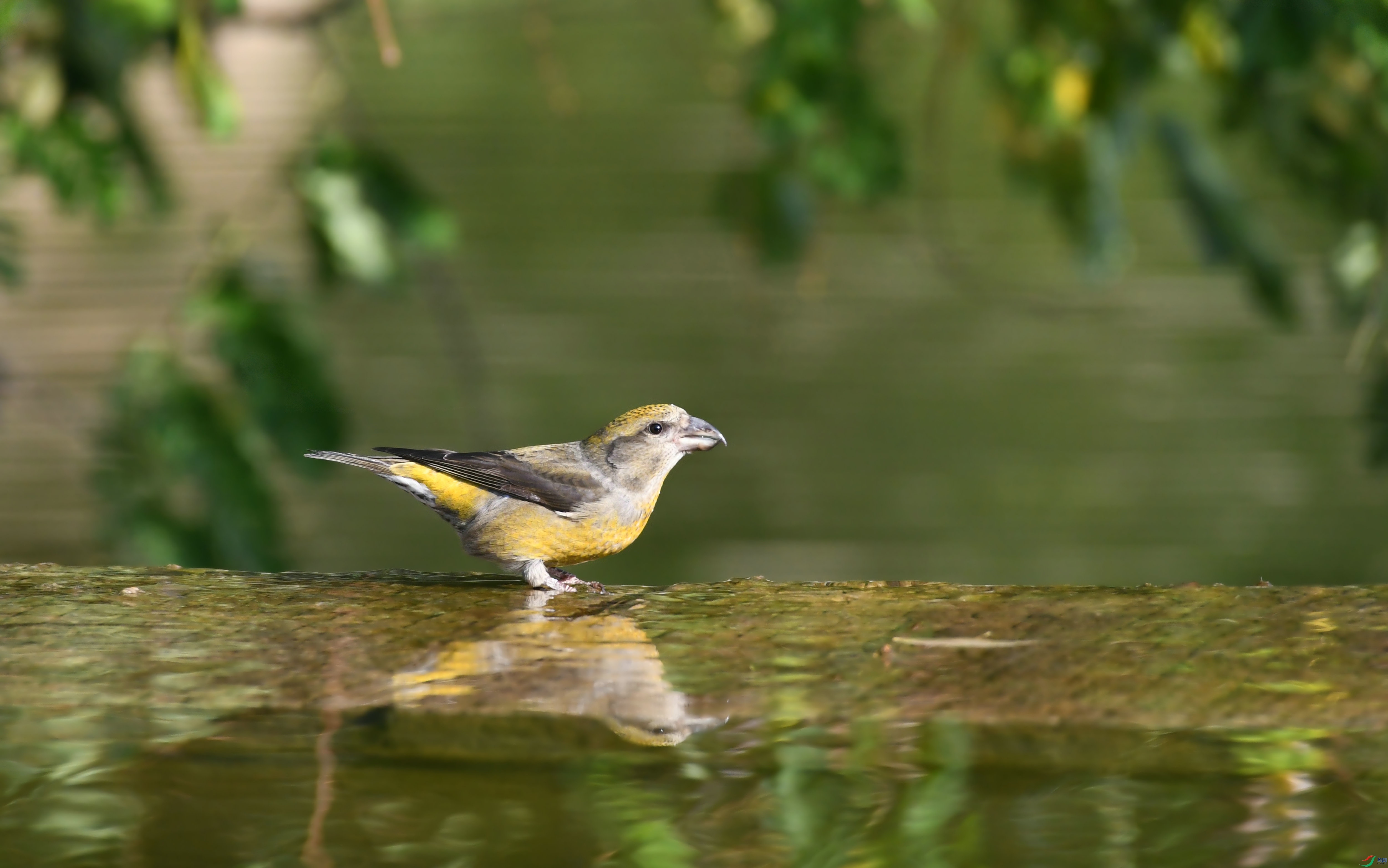 DSC_7882.JPG