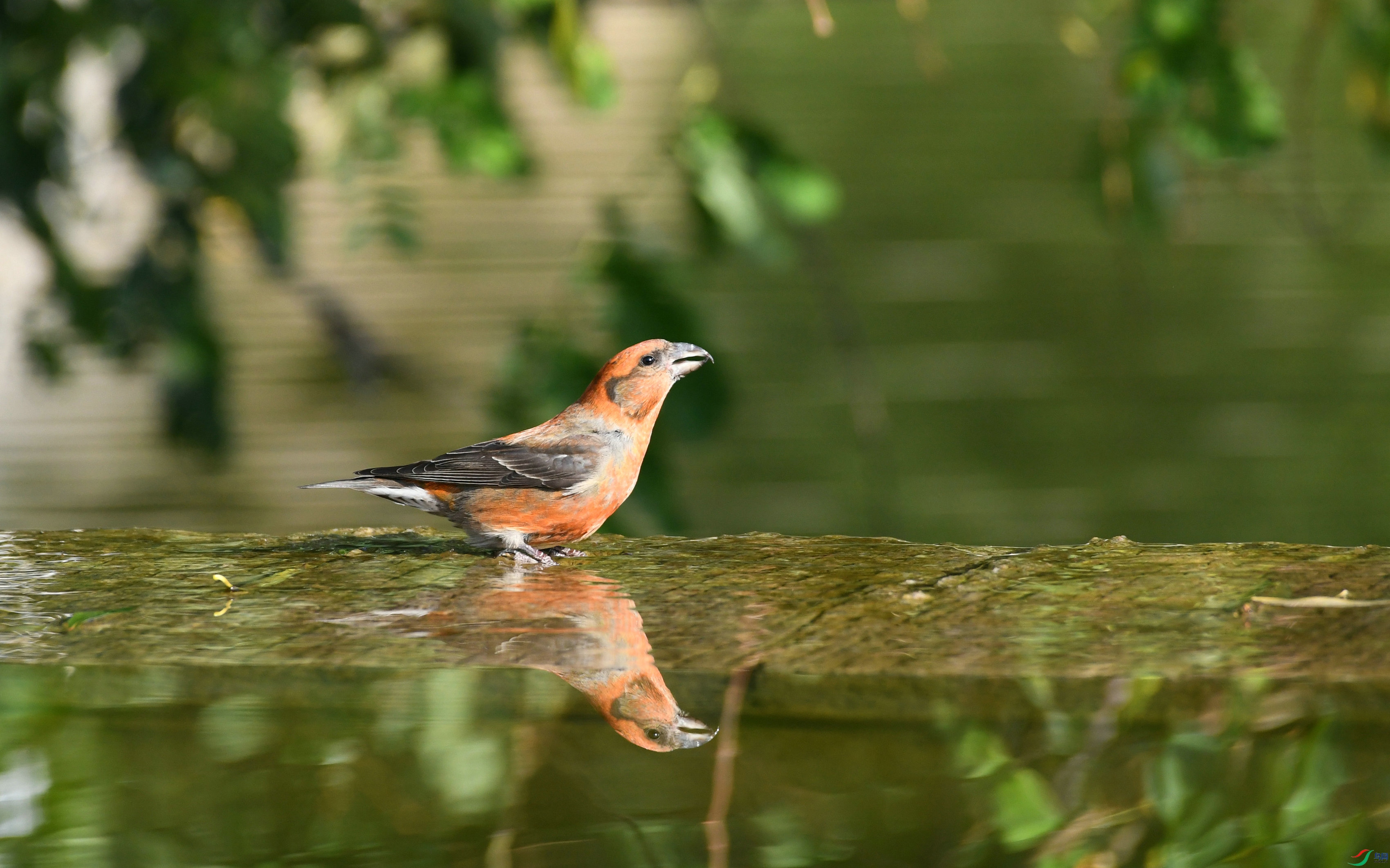 DSC_7808.JPG