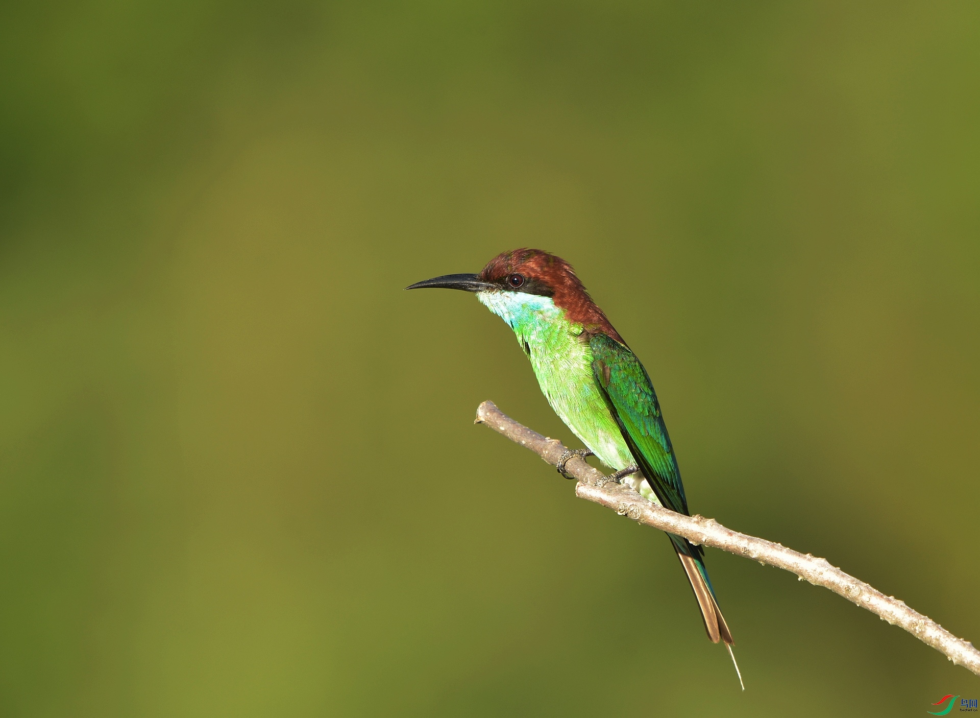 D72_6195.jpg