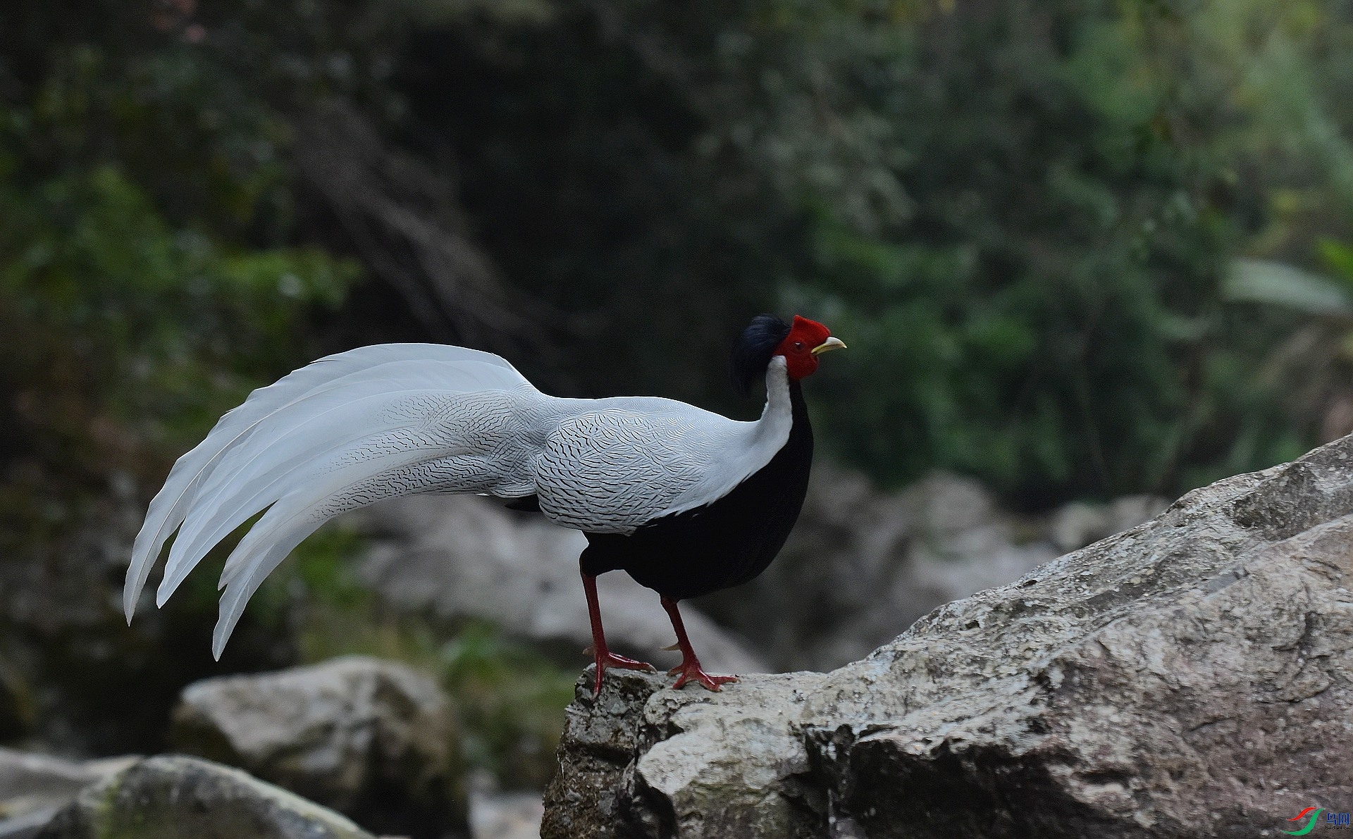 D72_9095.jpg