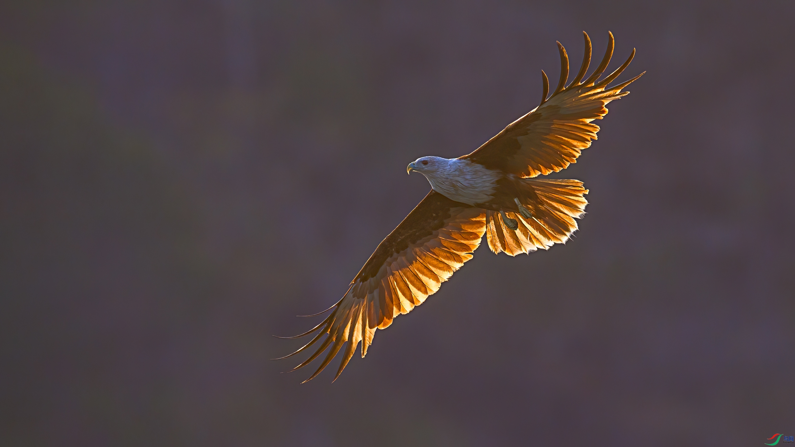 0P8A2149.jpg
