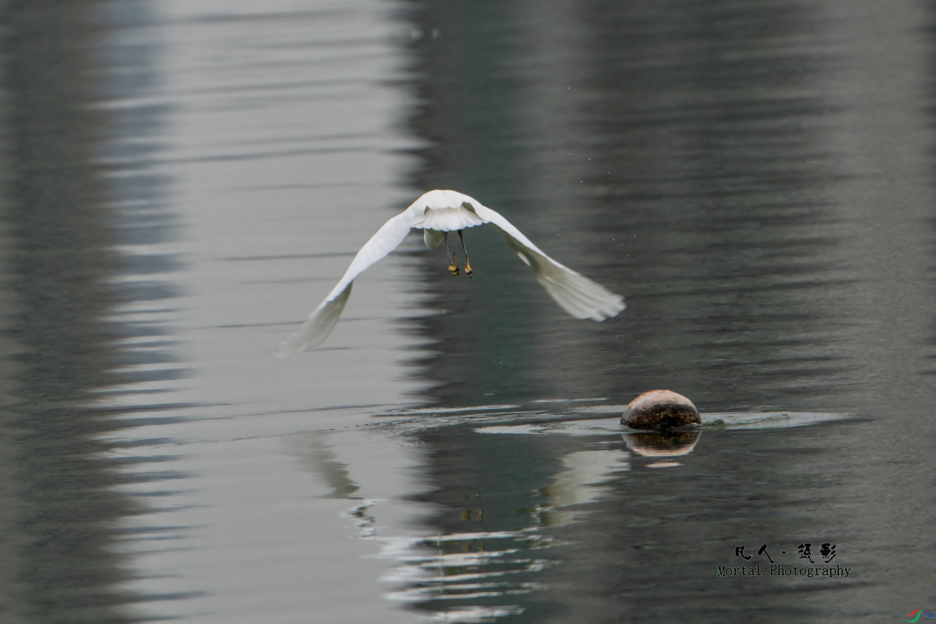 00105 ����.jpg