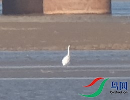 ��-֣������������DSCF7528-1.jpg
