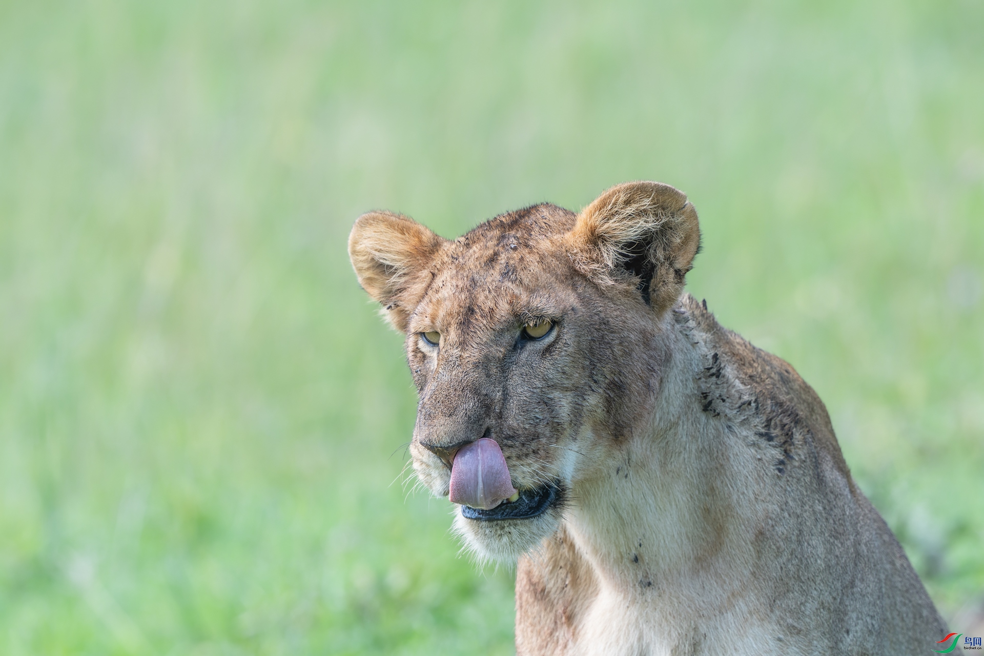 DSC_8296.jpg