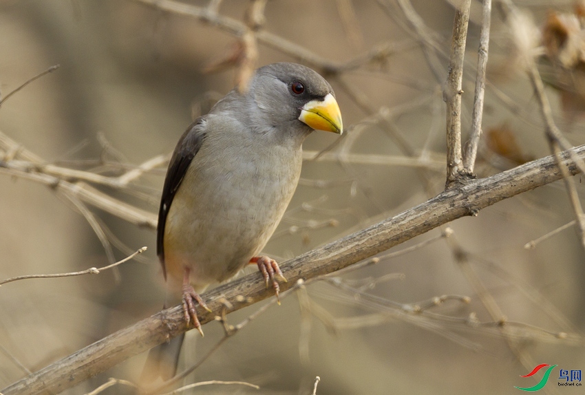 AJ6P8534.jpg