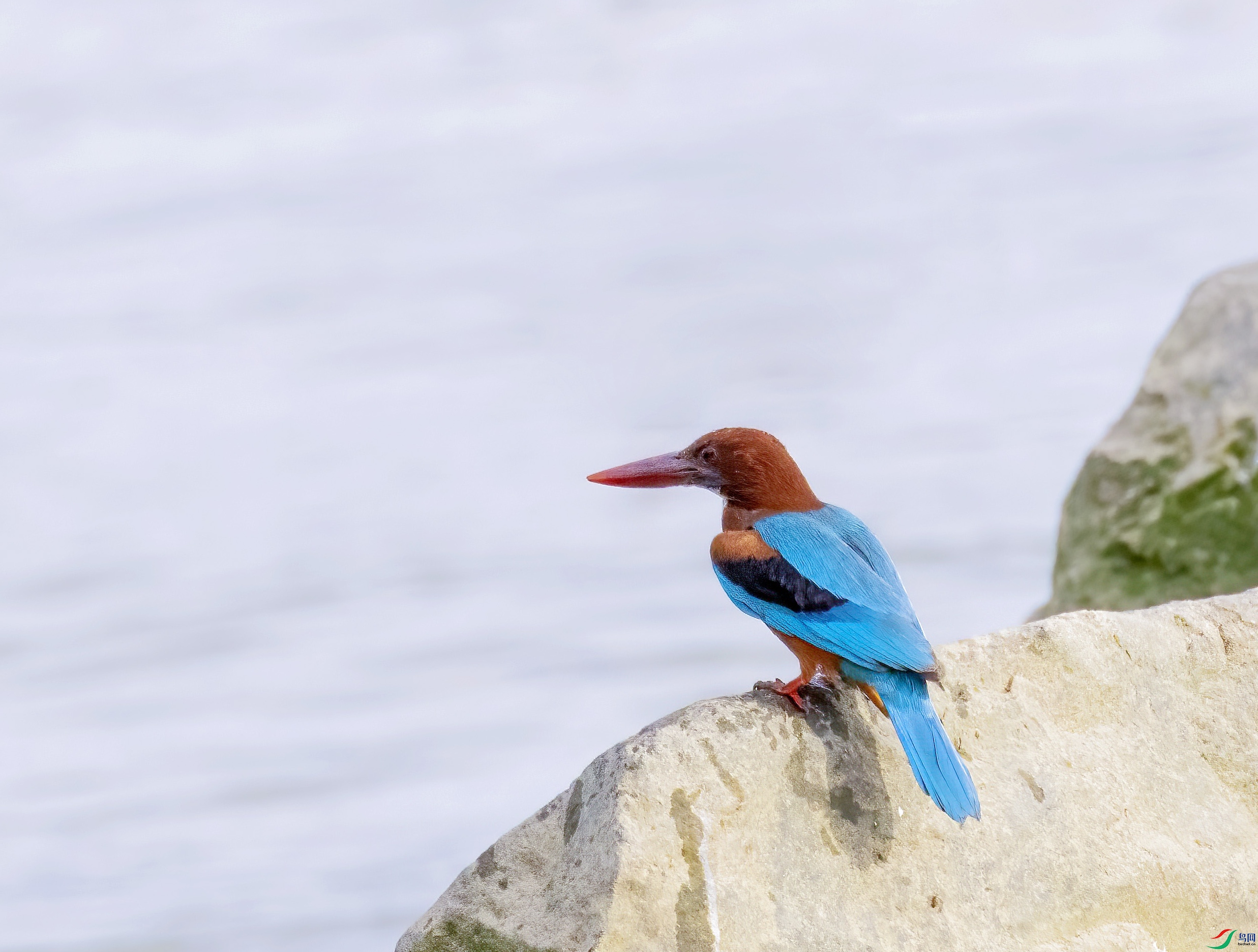 C87A2471 ����_edit_312777564650710.jpg