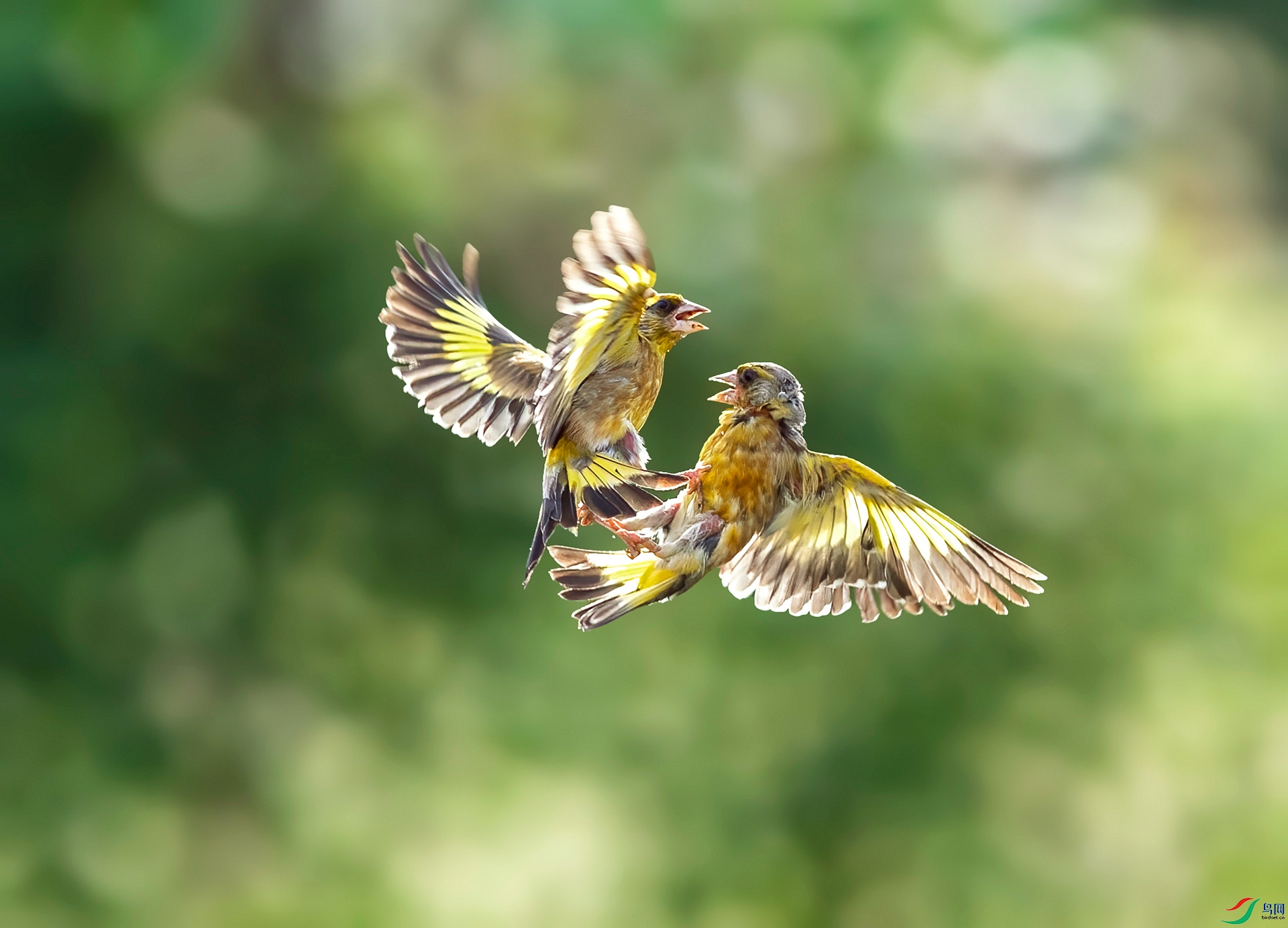 DSC_8226 ����_���� ����.jpg