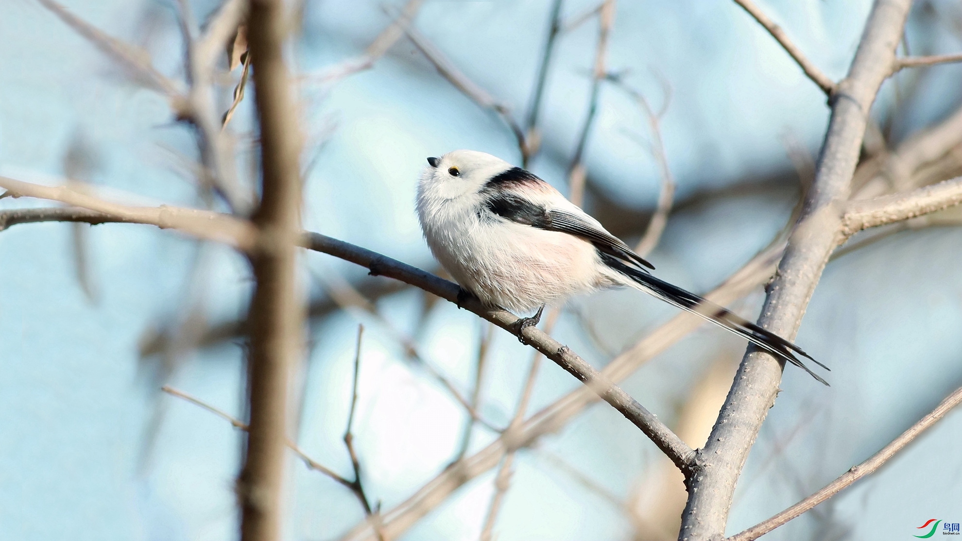 ����βɽȸ����1