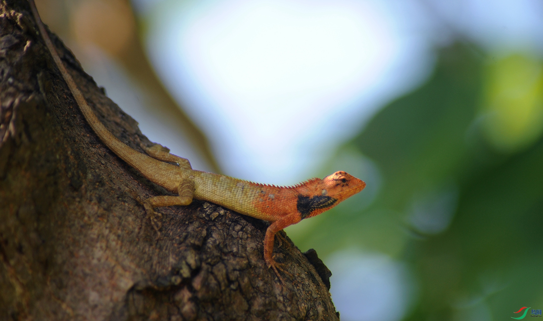 DSC_5585_.jpg