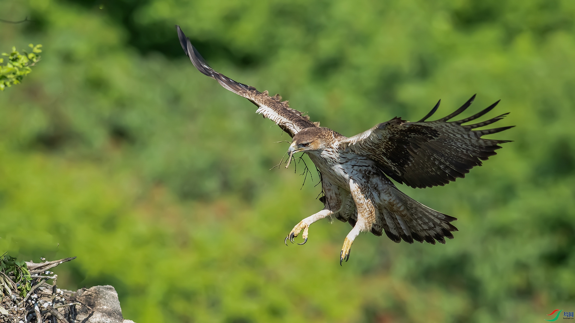 �׸�����