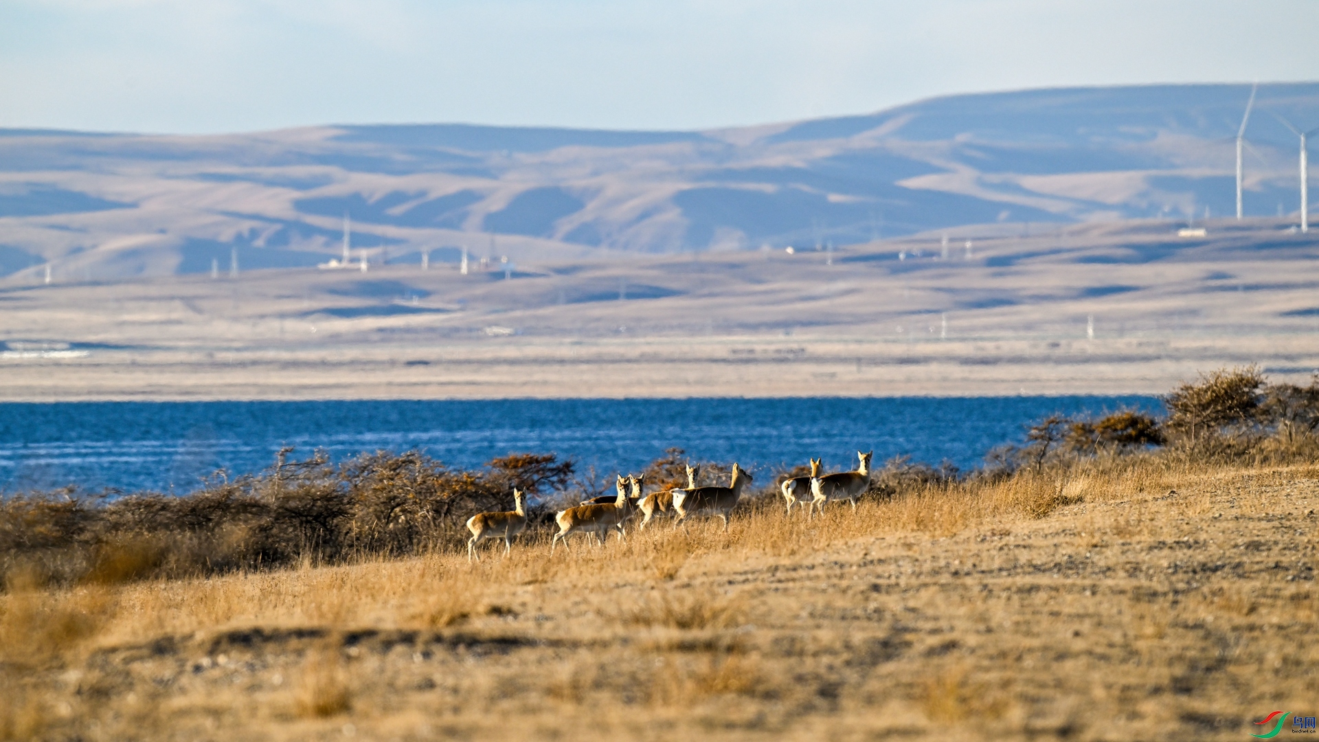 _DSC3930_����.jpg