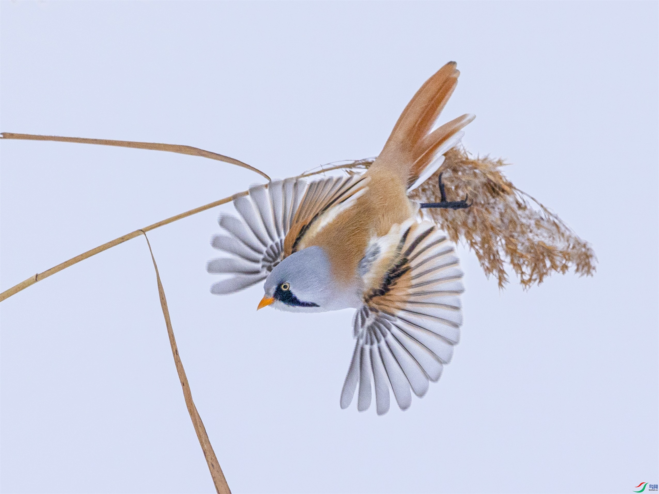 1K3A5397 ����1.jpg