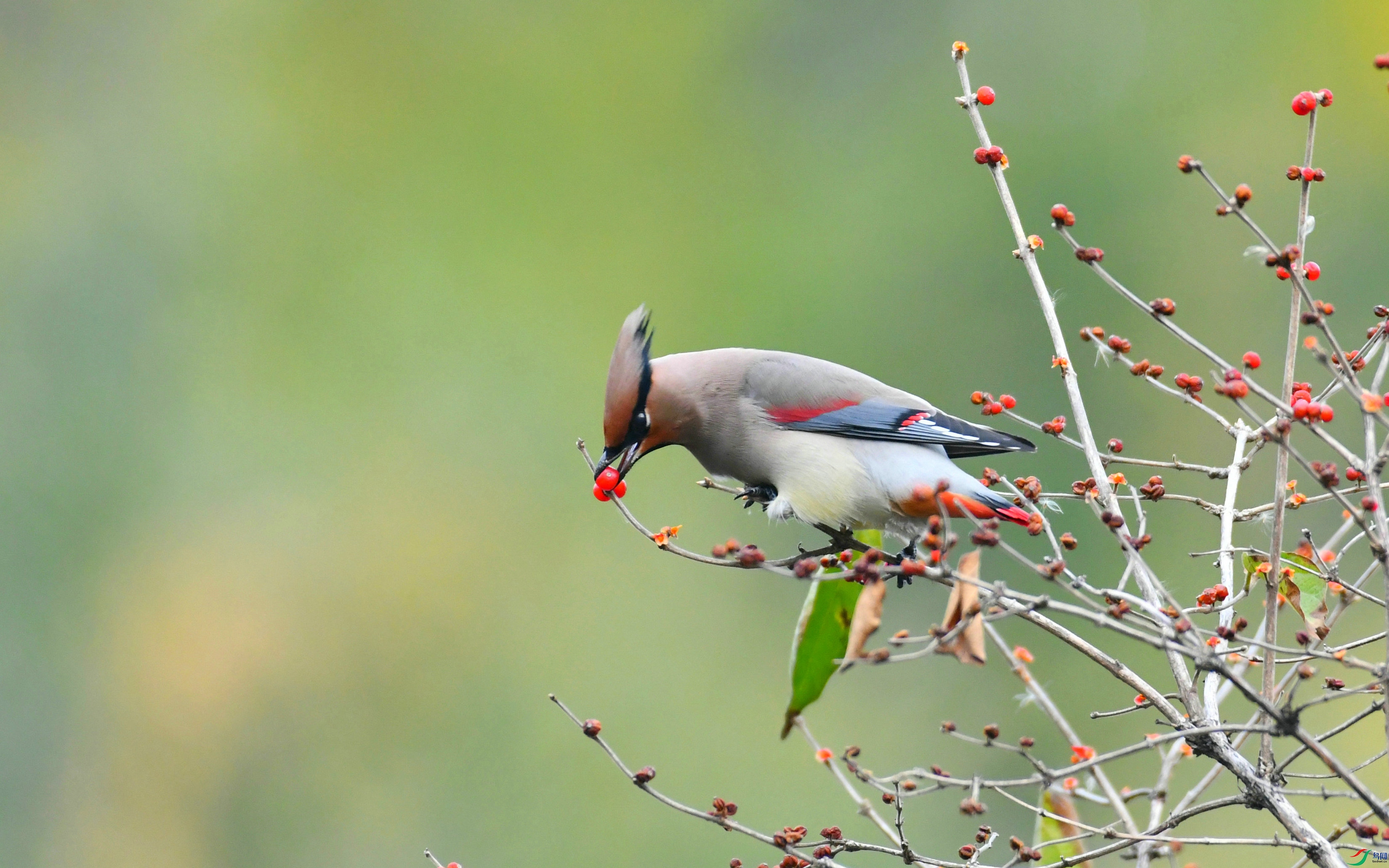 DSC_8231.JPG