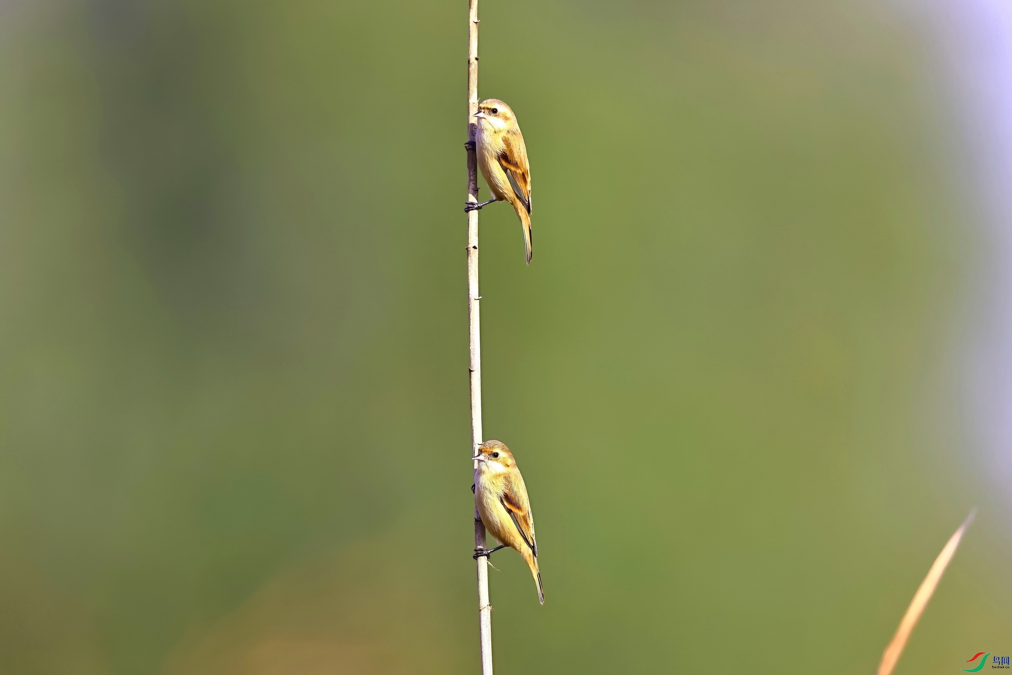 IMG_6830-1.JPG