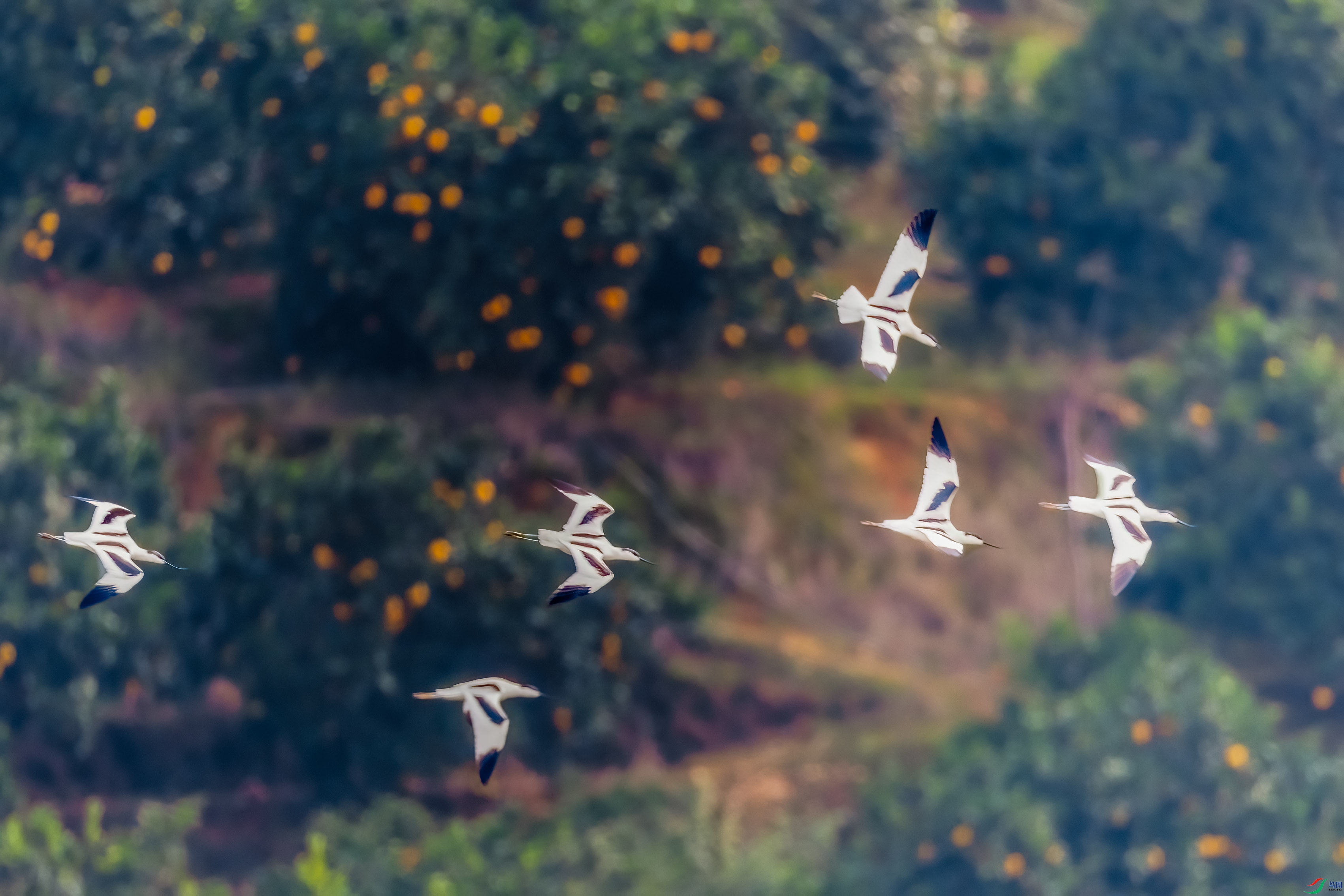 0M3A6072 ����A.jpg