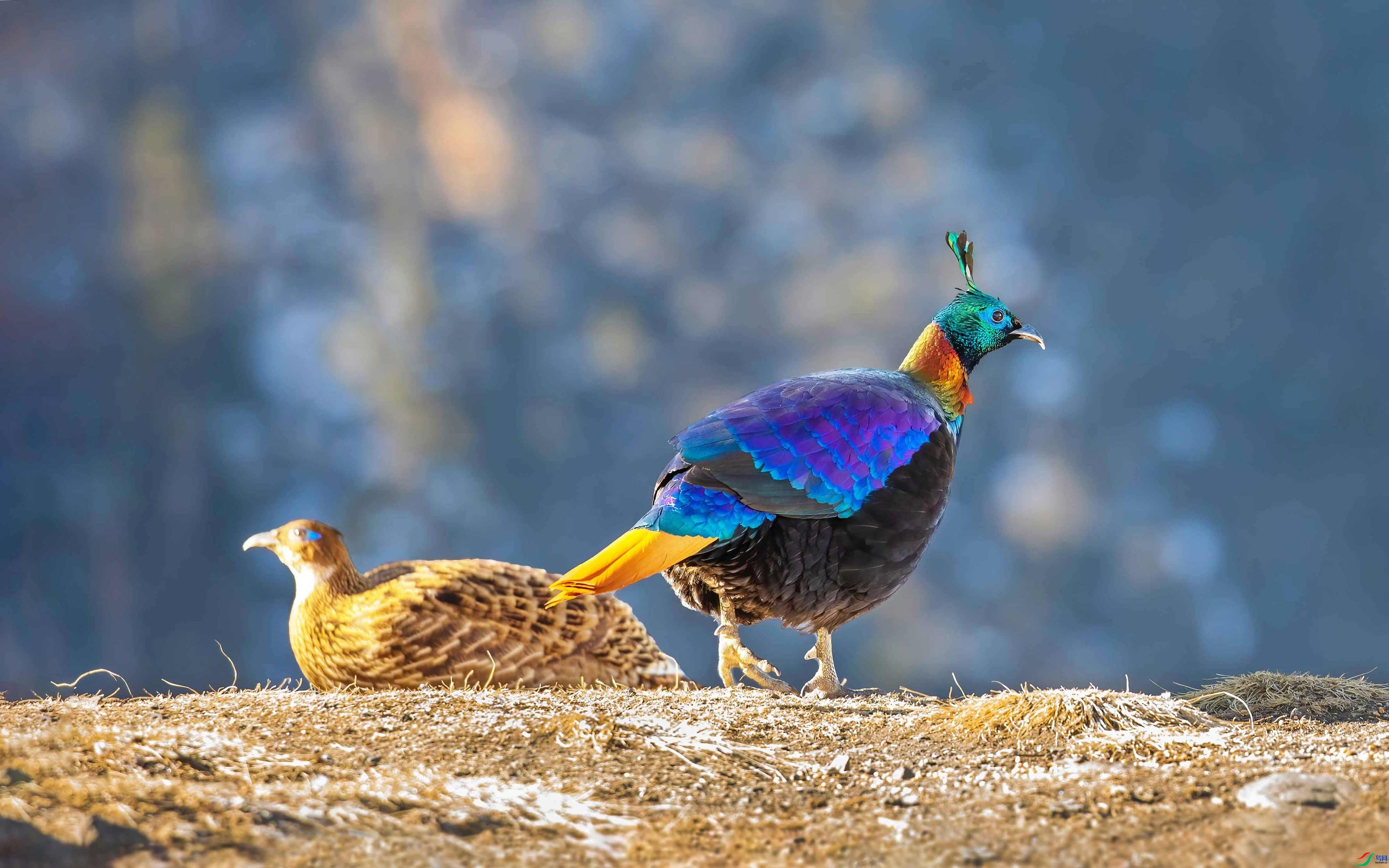 ���� ���� �ɶ��Ͻ�  ��һ.jpg