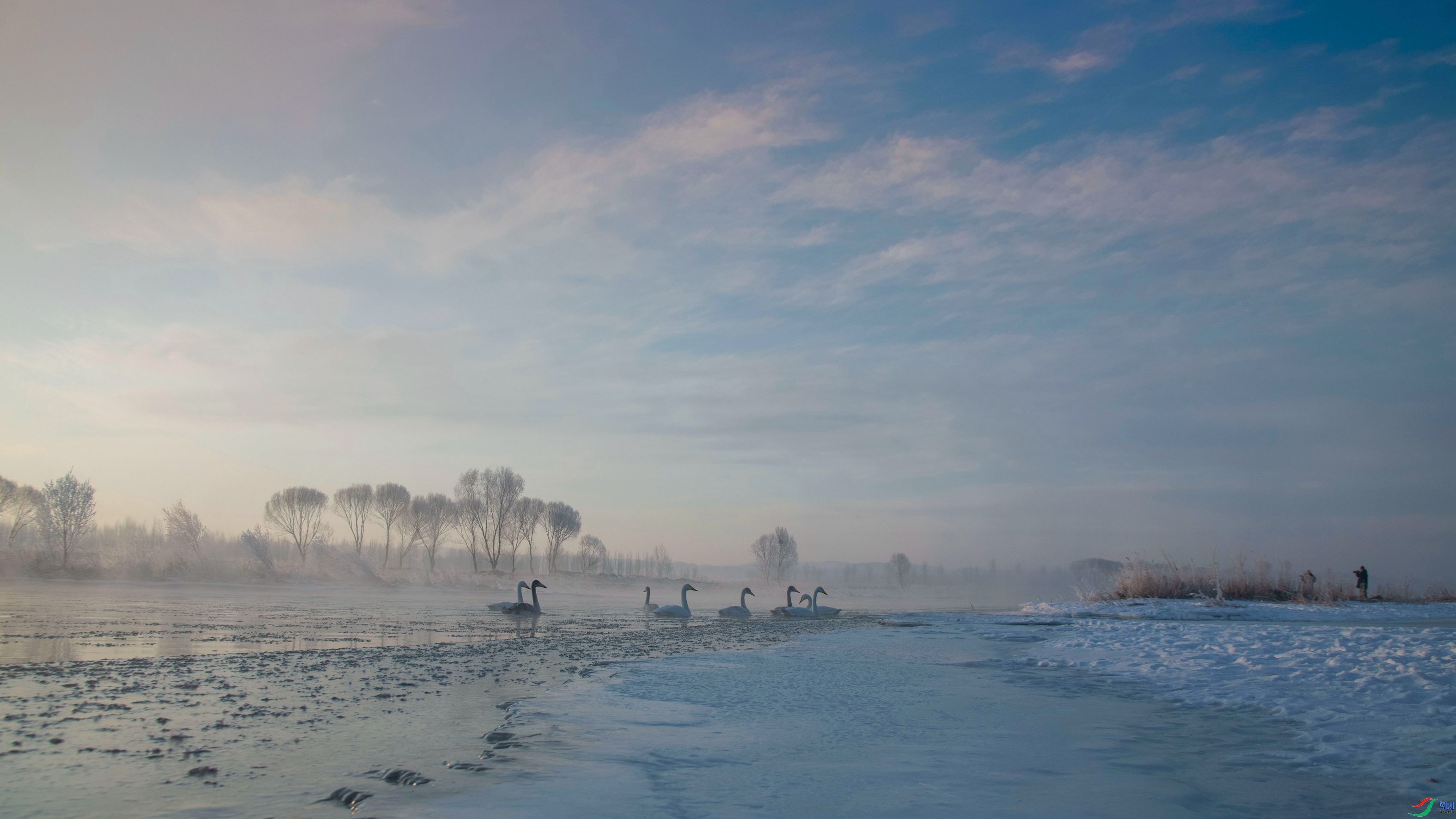 ��г ���� �����ү  �ܶ�.jpg