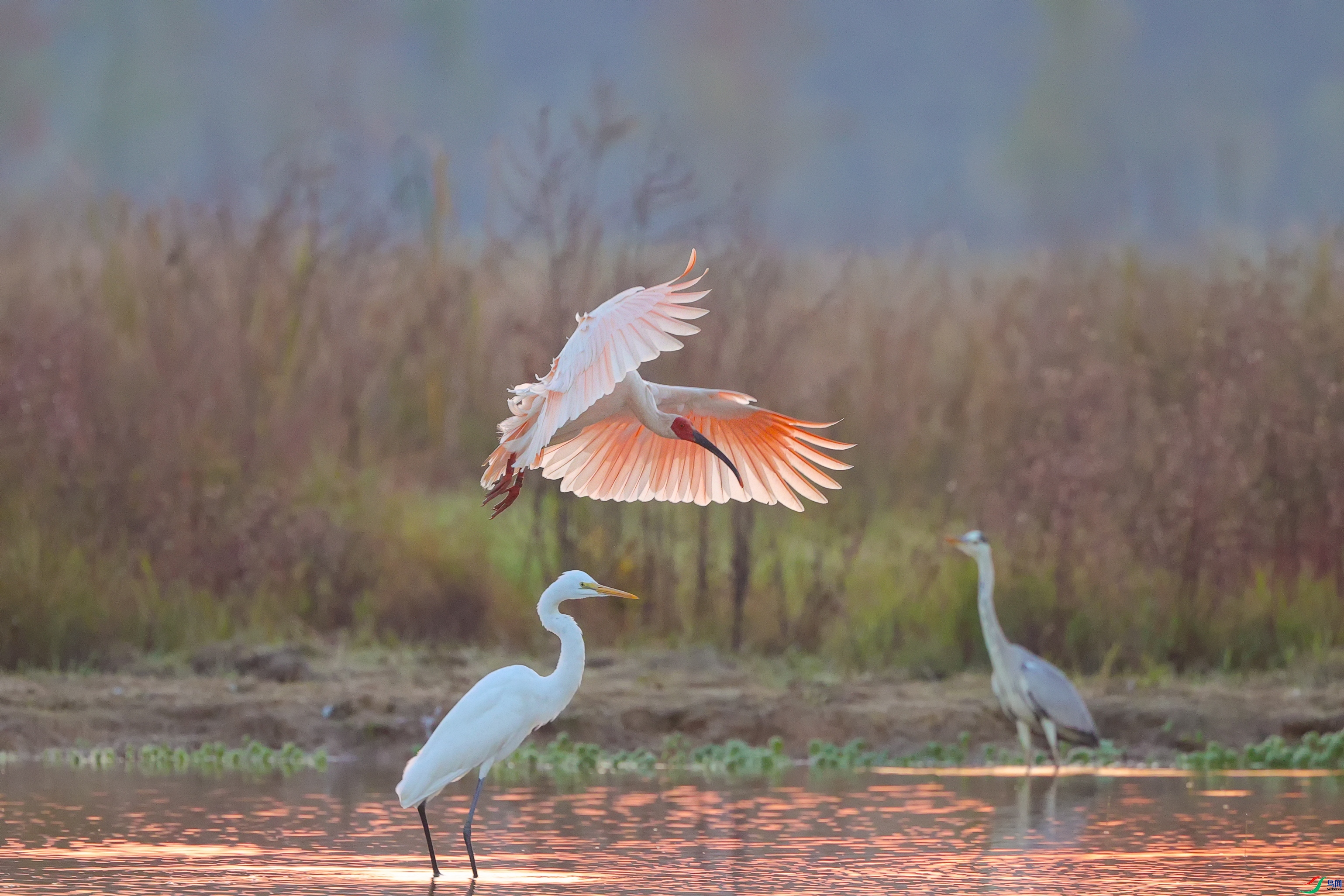 �����н���  ���� ����.jpg